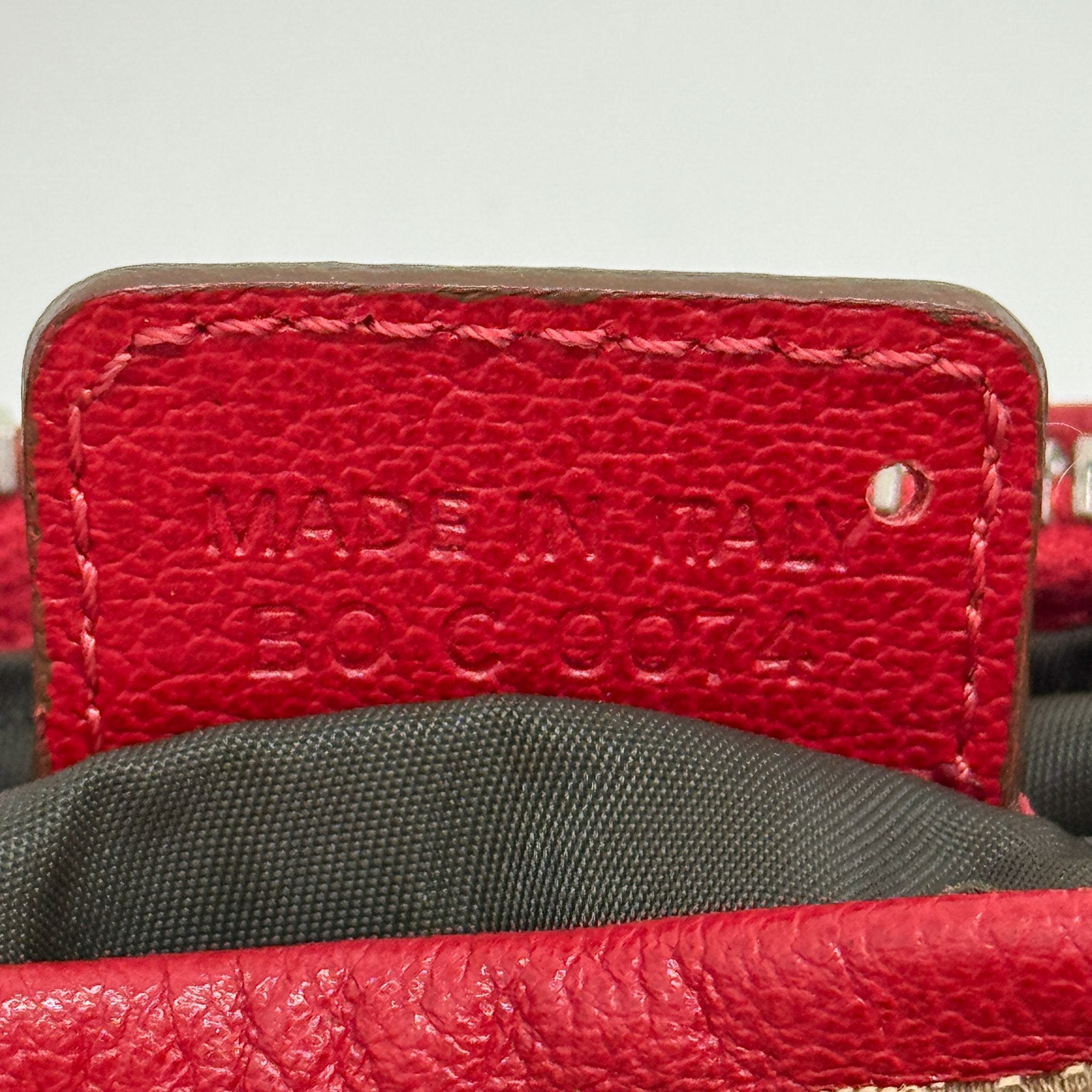 Rasta Trotter Brown Canvas Handbag