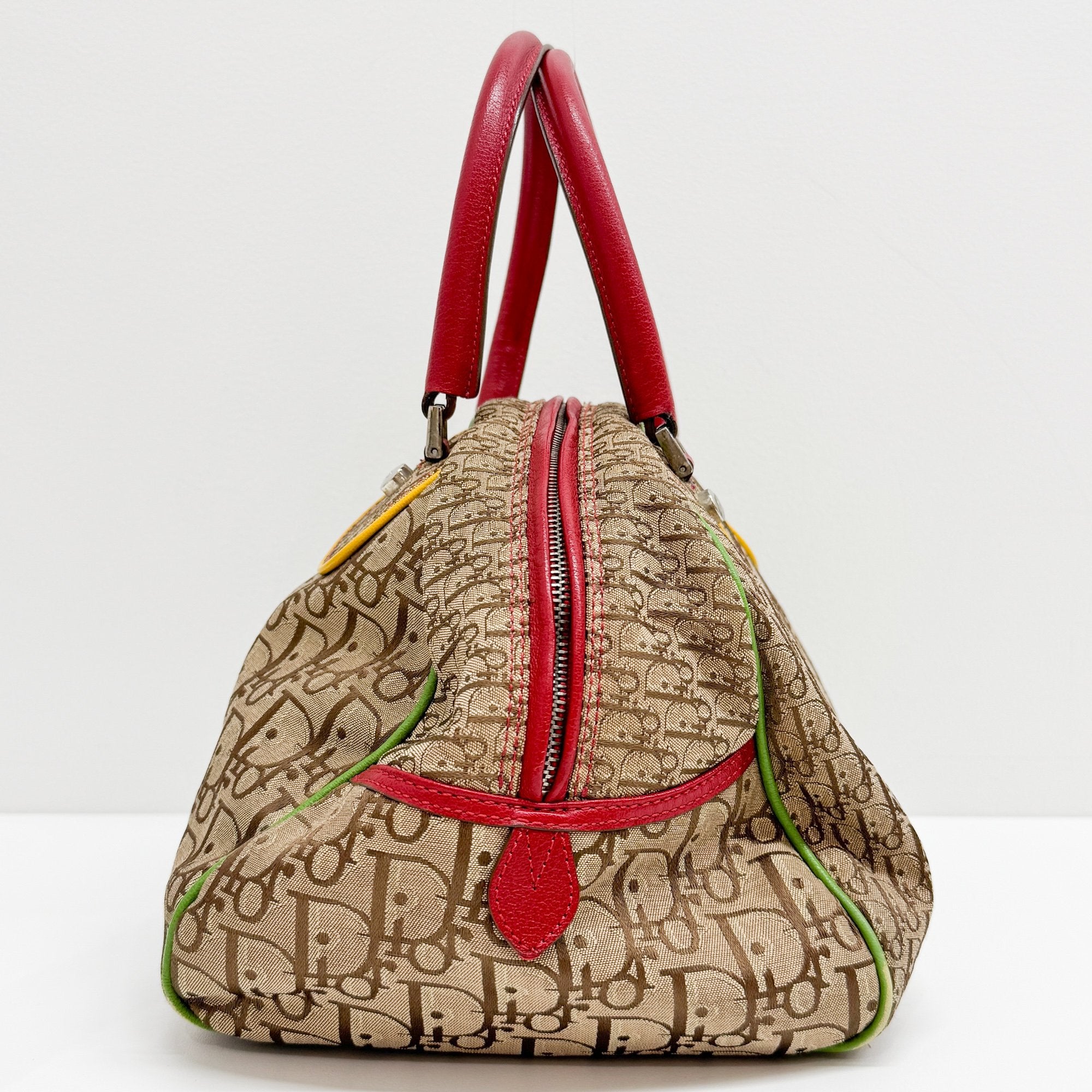 Rasta Trotter Brown Canvas Handbag