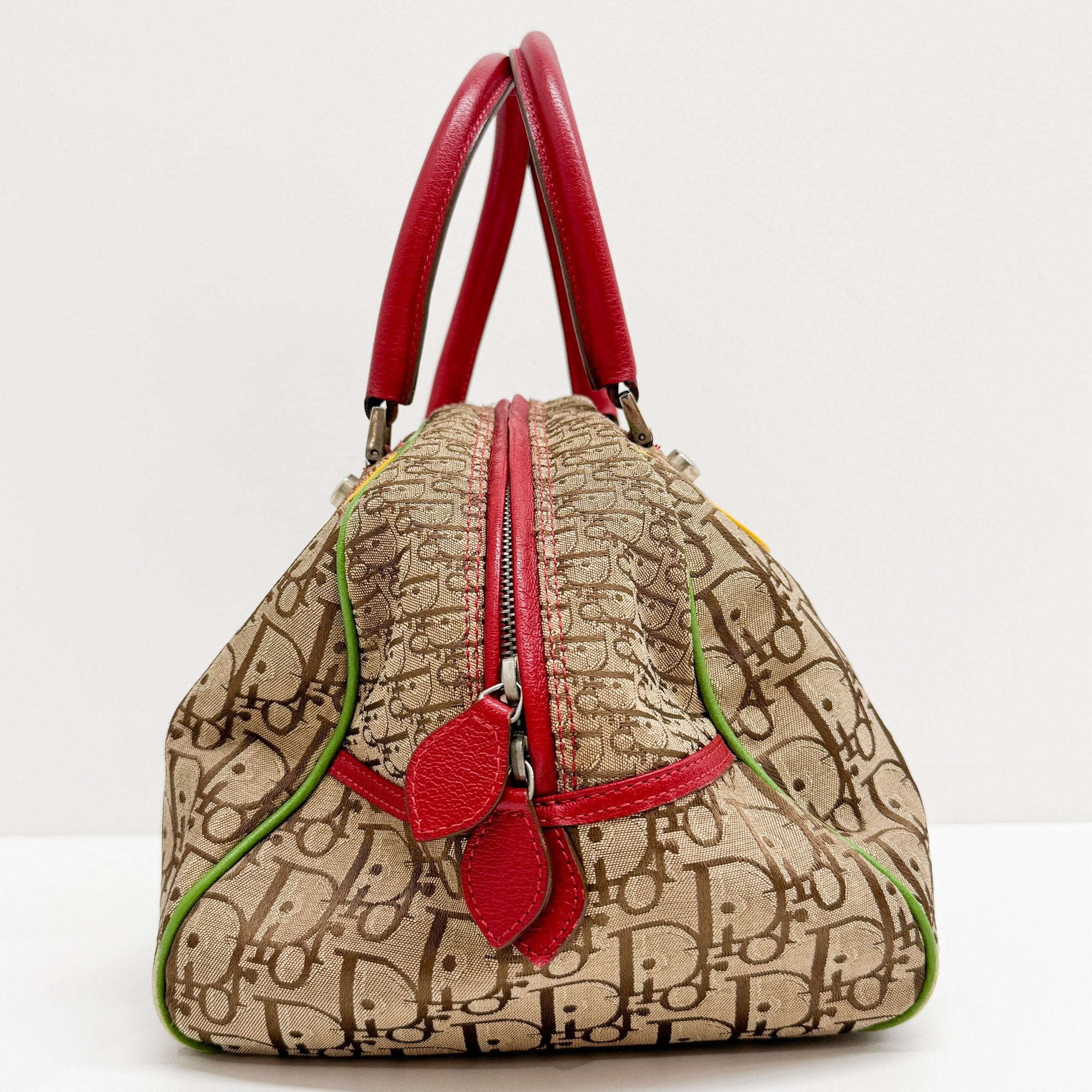 Rasta Trotter Brown Canvas Handbag