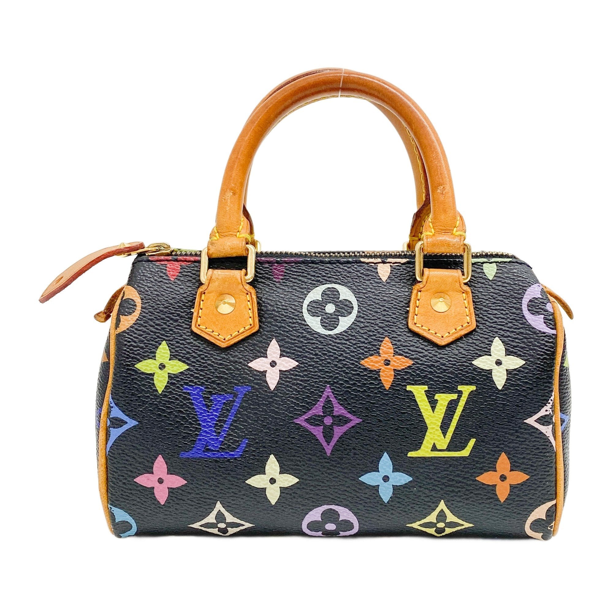 Mini Speedy Black Multi Color Canvas Handbag