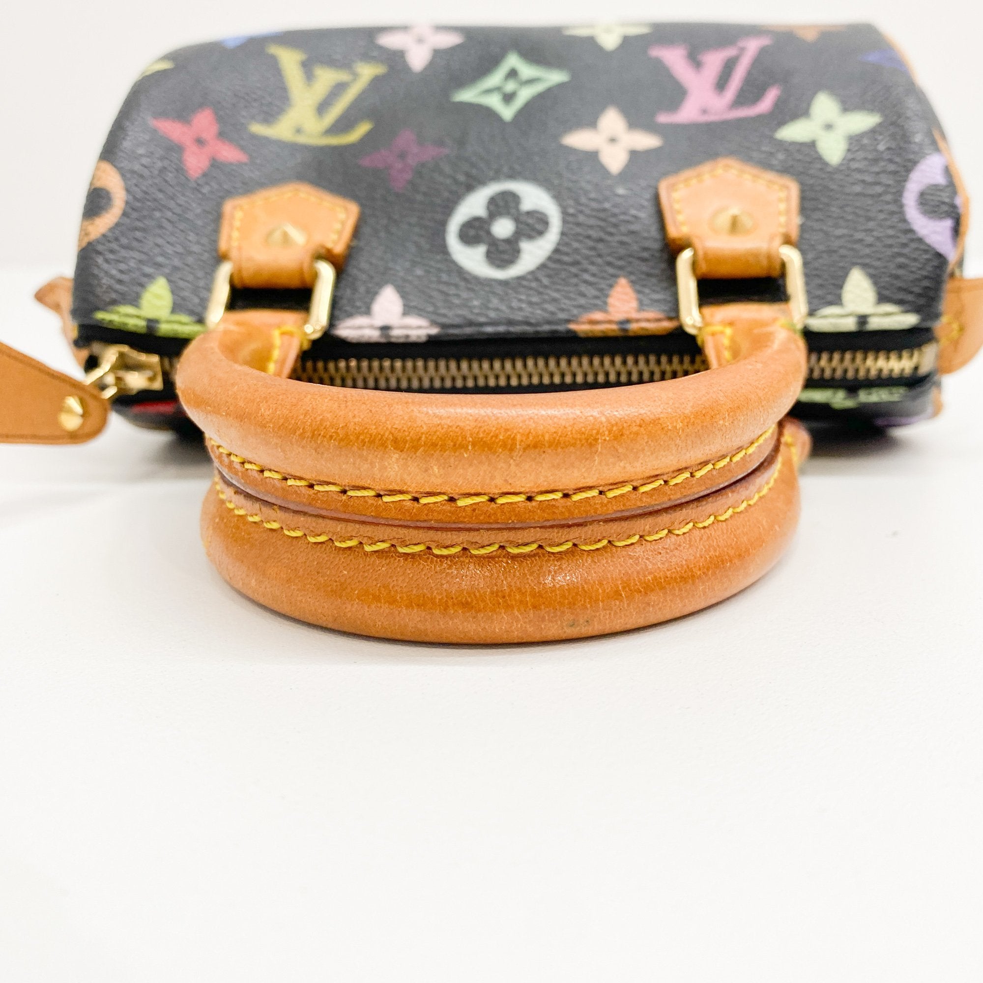 Mini Speedy Black Multi Color Canvas Handbag