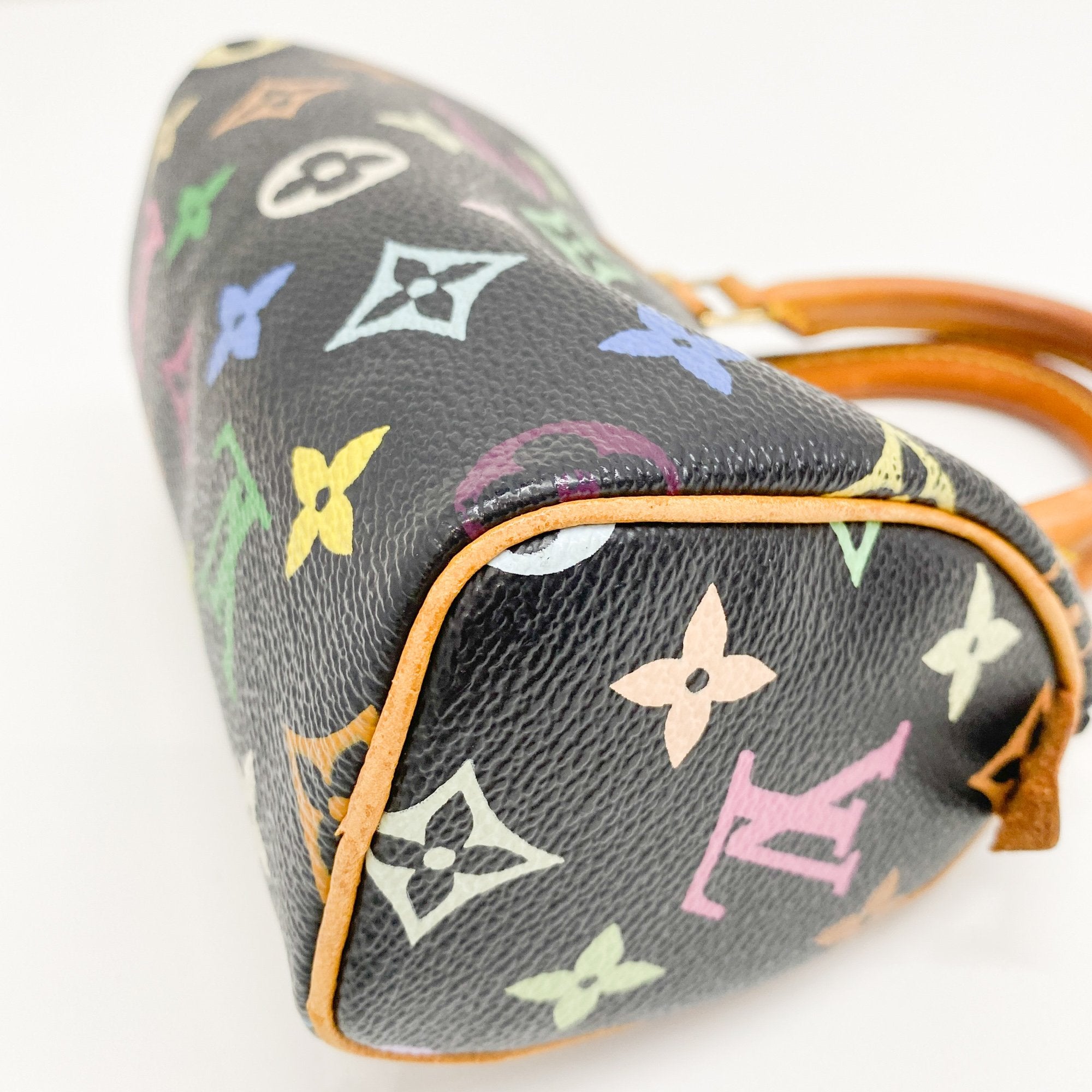 Mini Speedy Black Multi Color Canvas Handbag