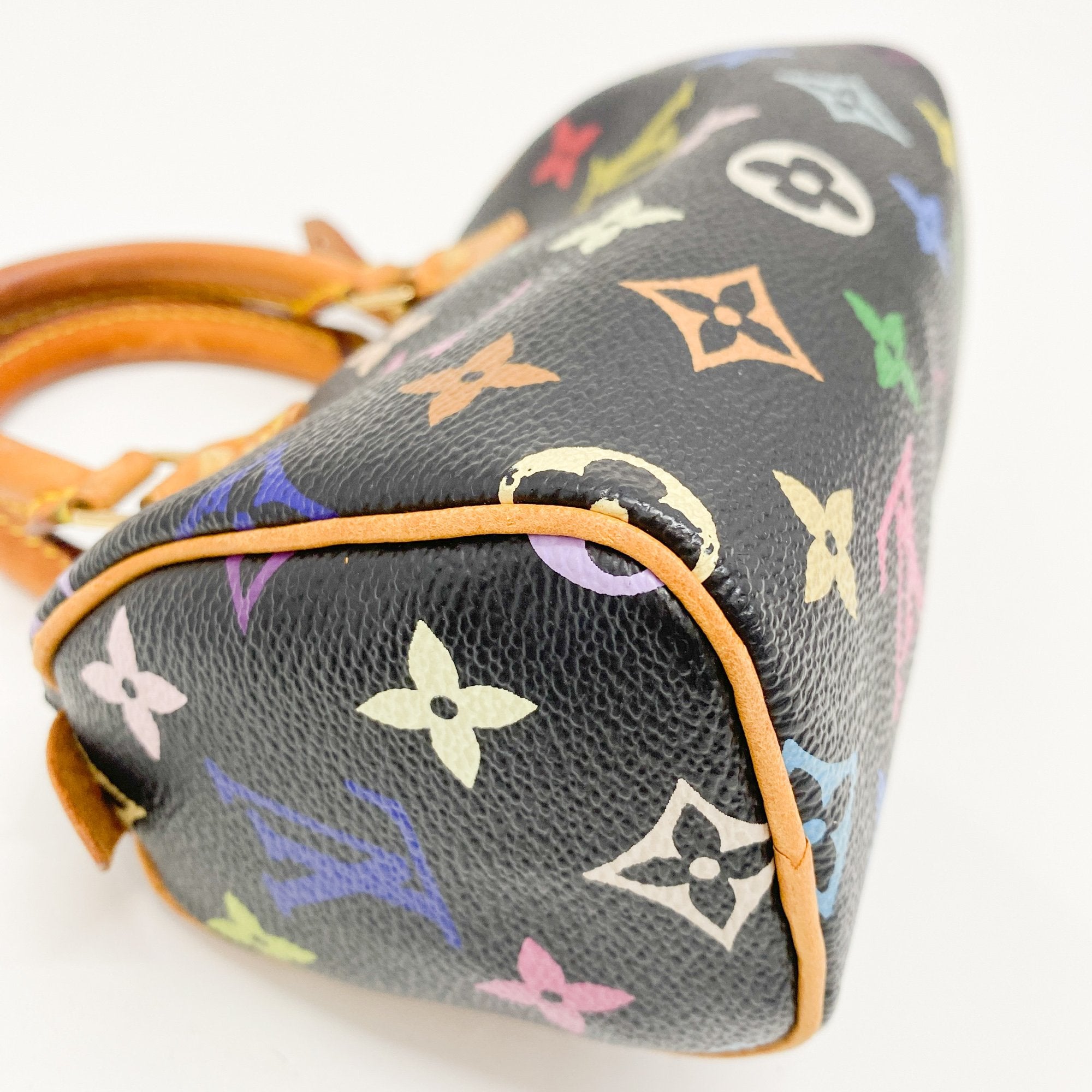 Mini Speedy Black Multi Color Canvas Handbag