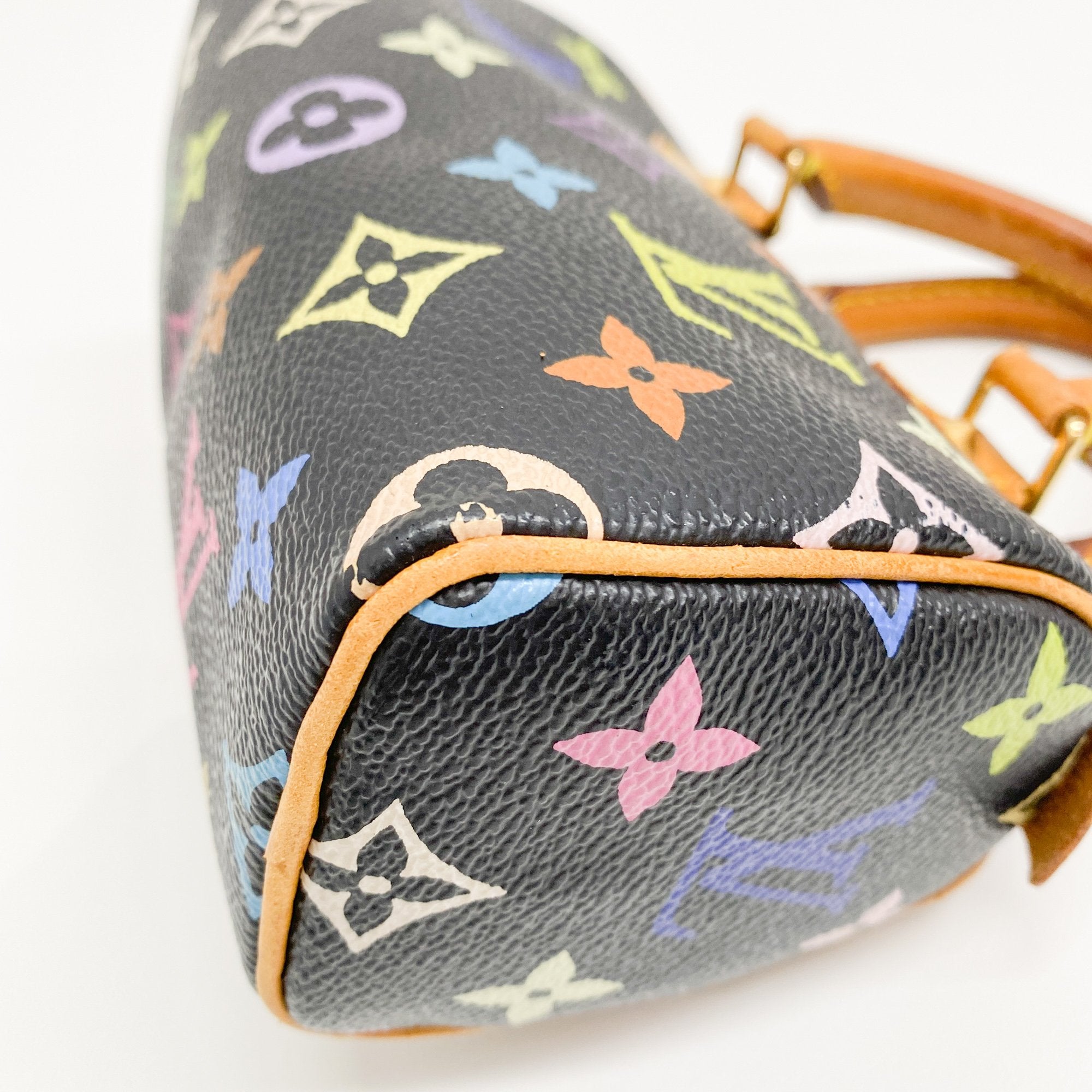 Mini Speedy Black Multi Color Canvas Handbag