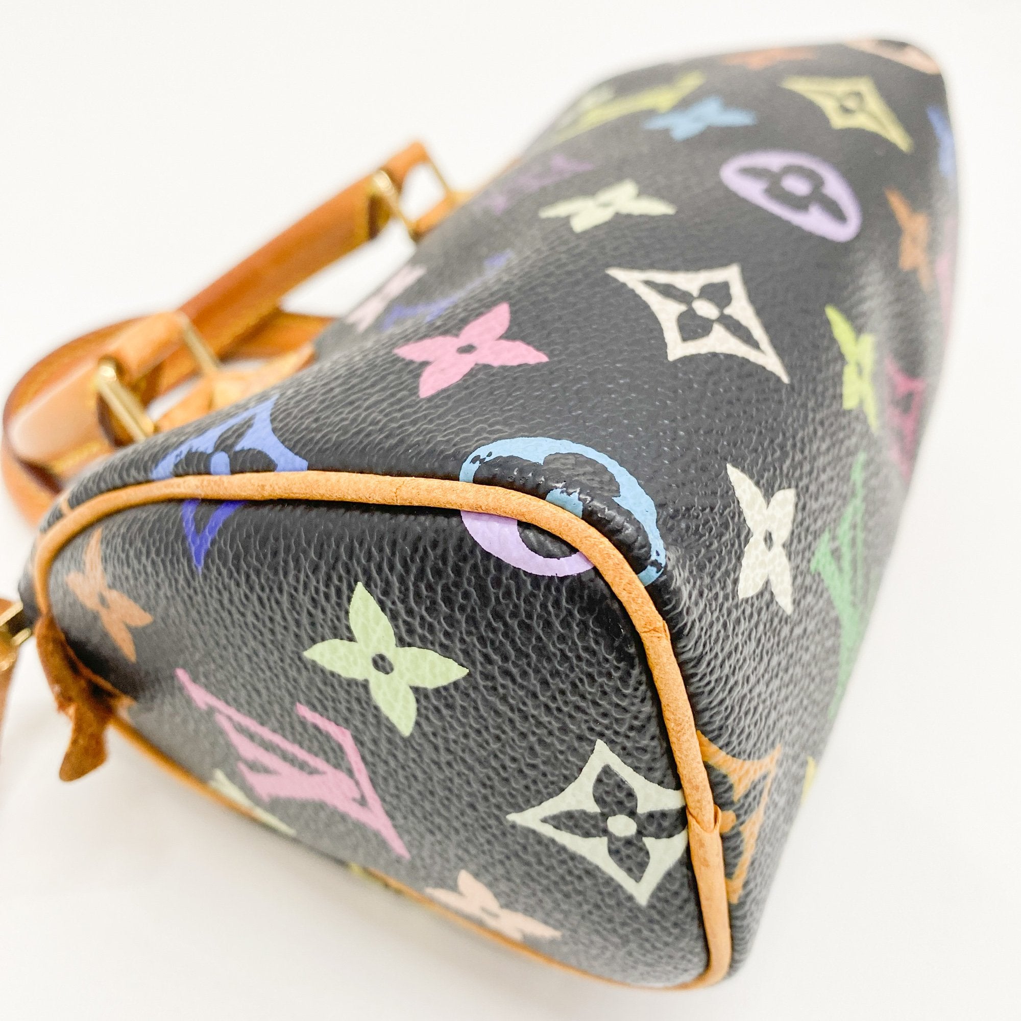 Mini Speedy Black Multi Color Canvas Handbag