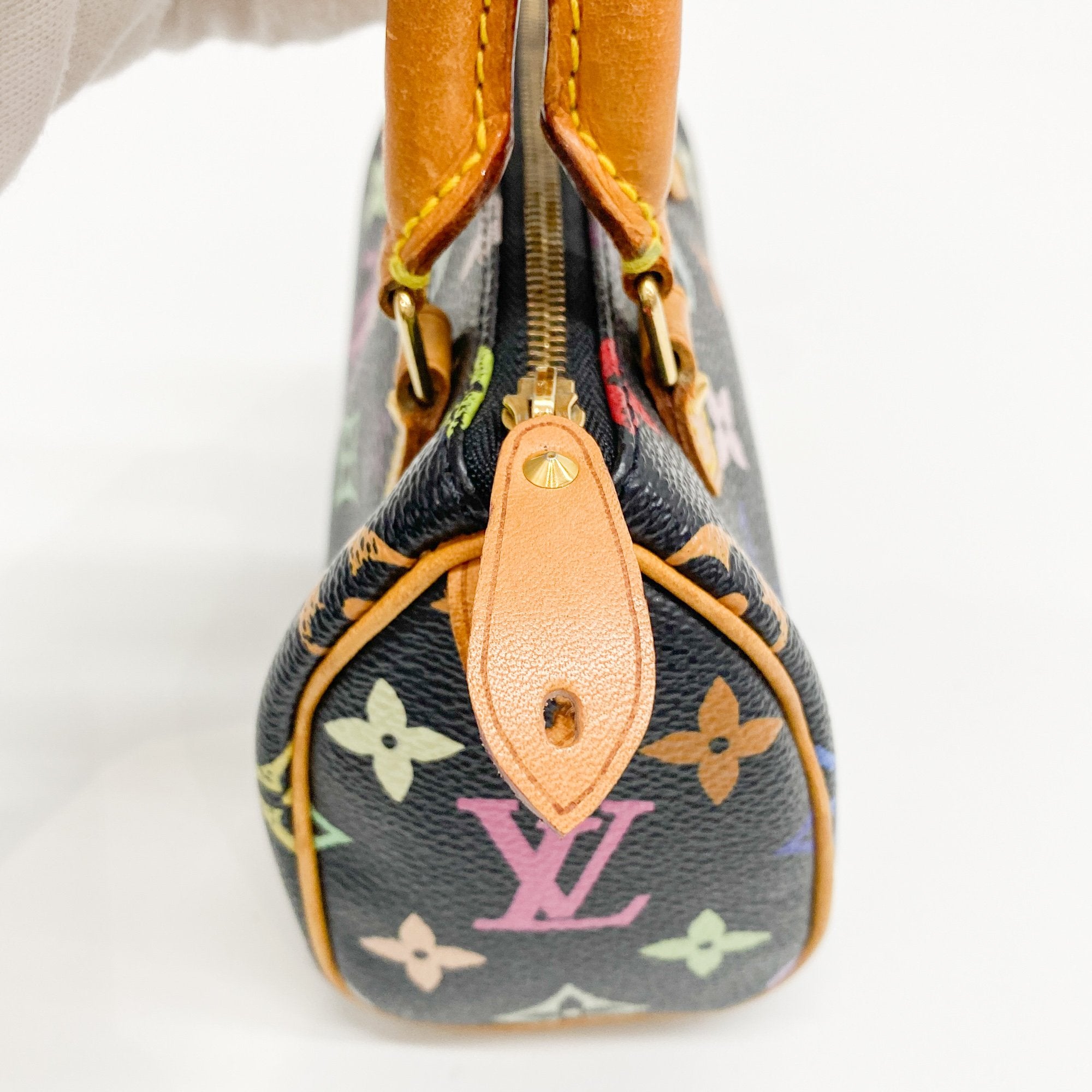 Mini Speedy Black Multi Color Canvas Handbag