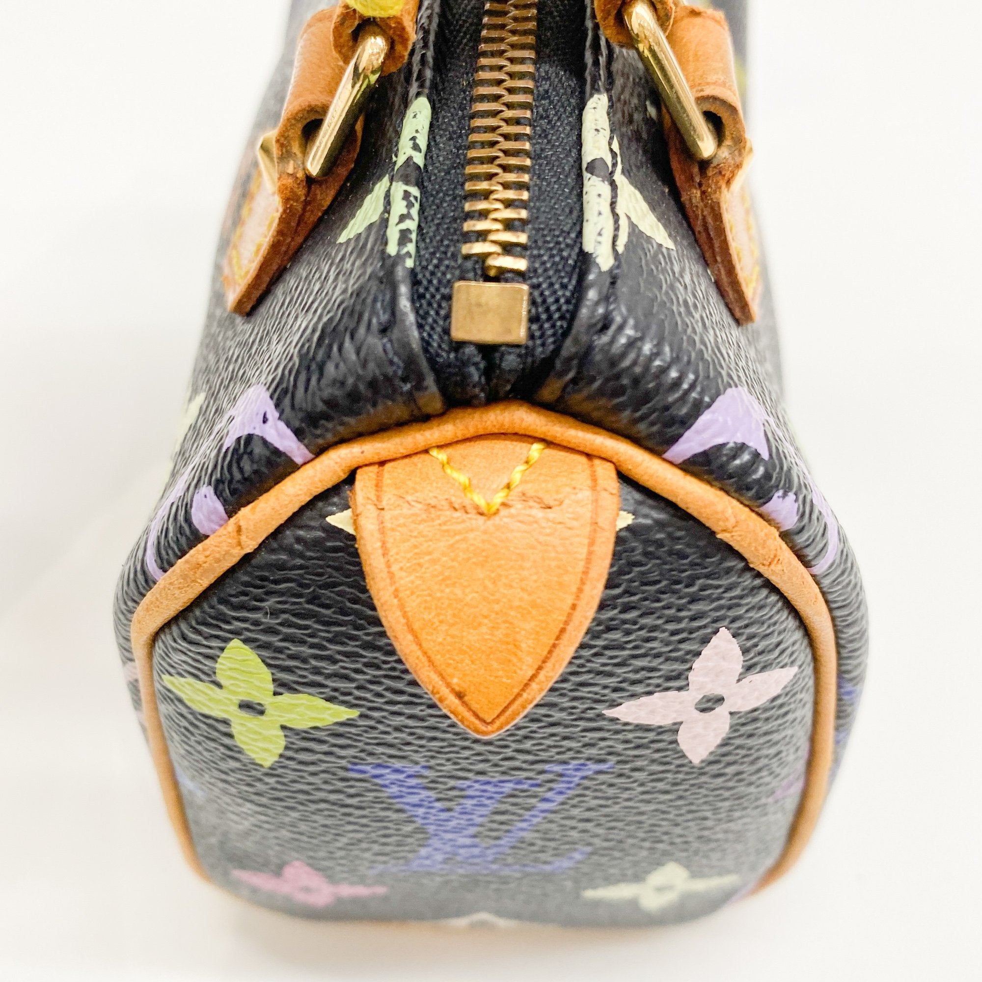 Mini Speedy Black Multi Color Canvas Handbag