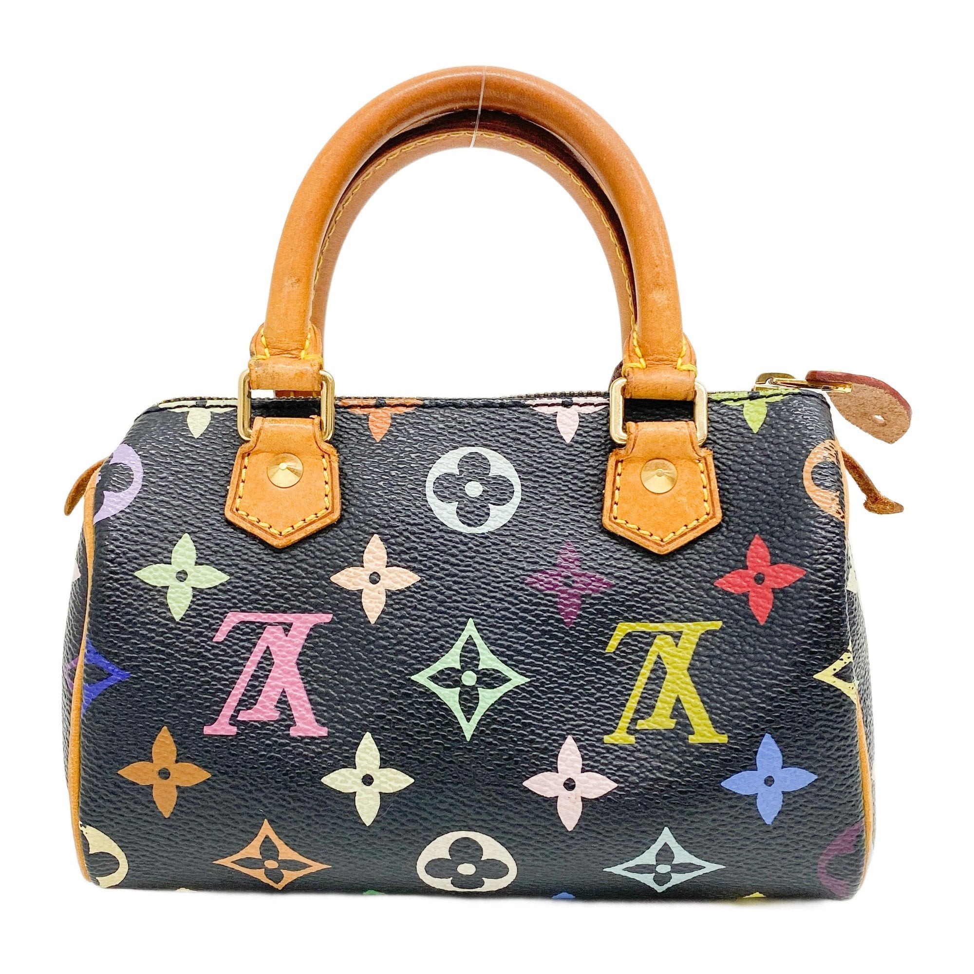 Mini Speedy Black Multi Color Canvas Handbag