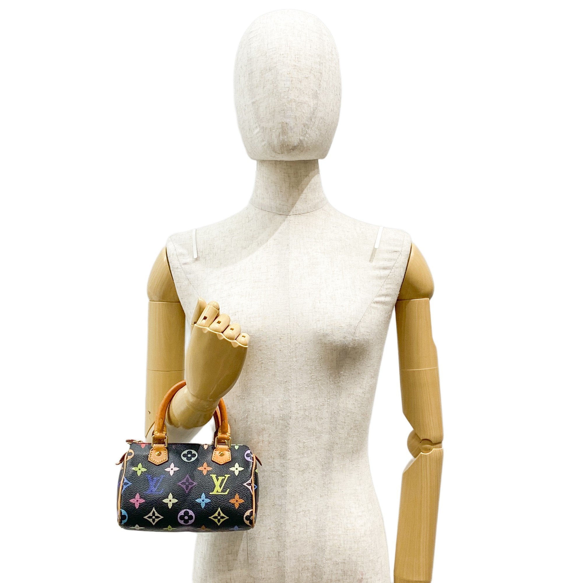 Mini Speedy Black Multi Color Canvas Handbag