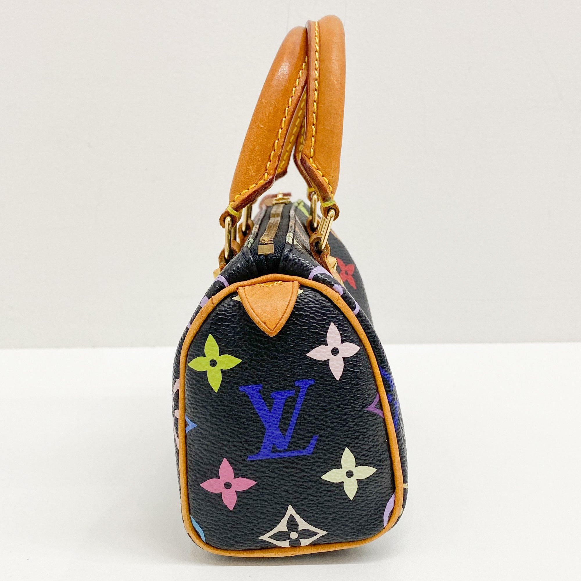 Mini Speedy Black Multi Color Canvas Handbag