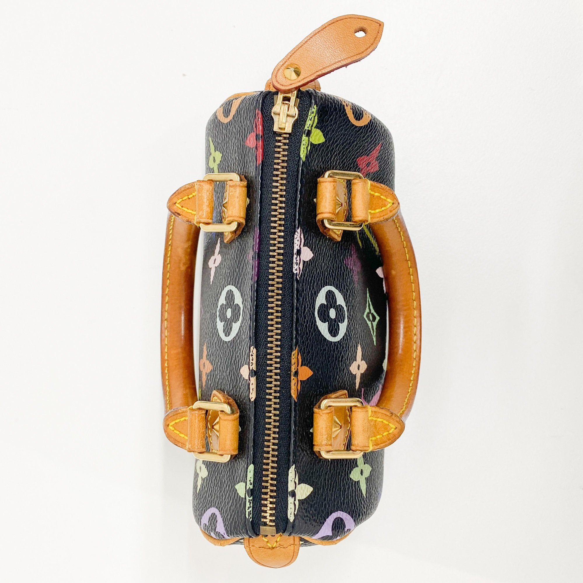 Mini Speedy Black Multi Color Canvas Handbag