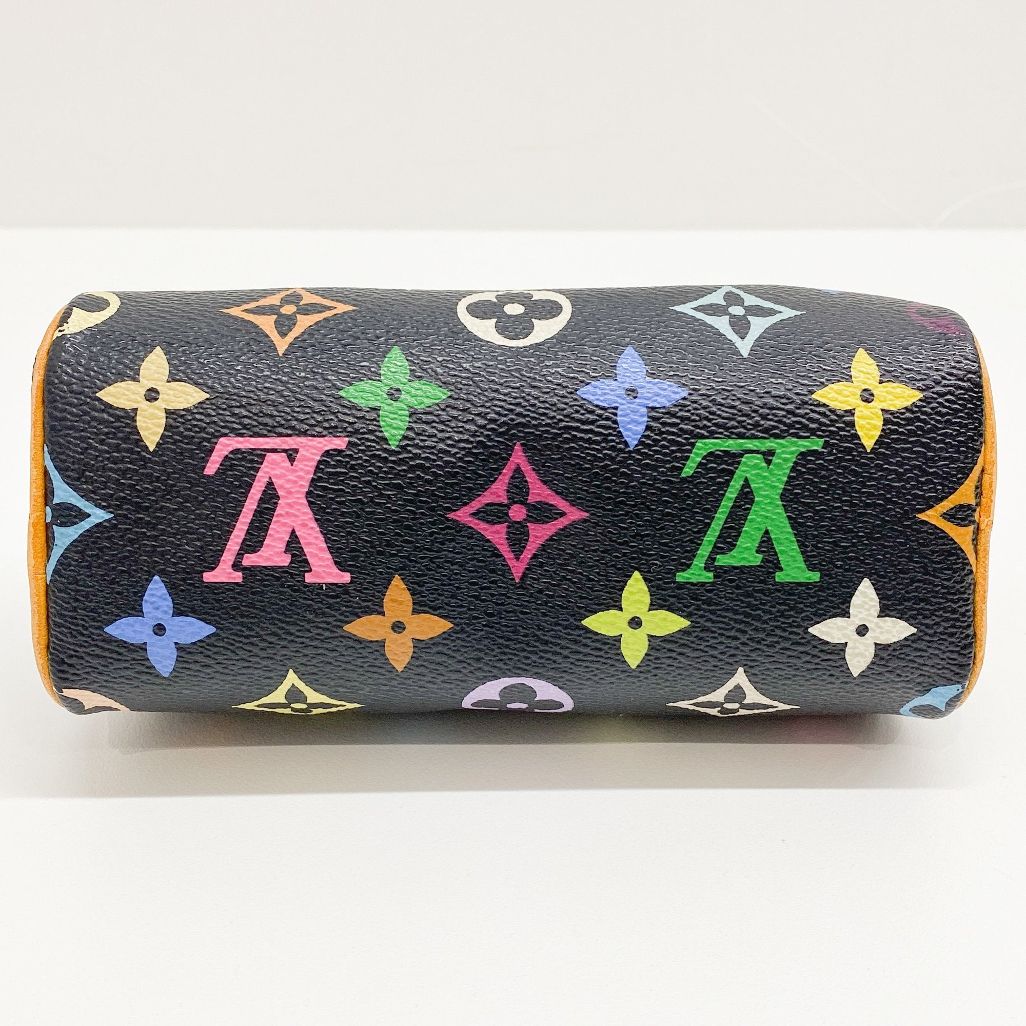 Mini Speedy Black Multi Color Canvas Handbag