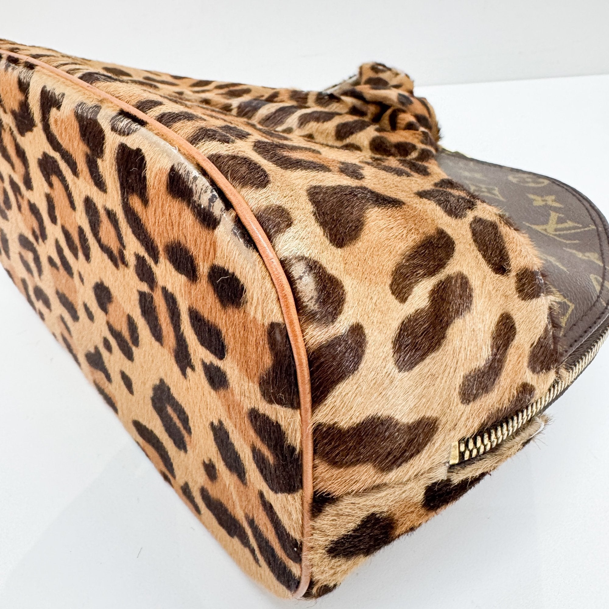 Alma Brown Leopard Print Pony Hair & Monogram Canvas Hand Bag