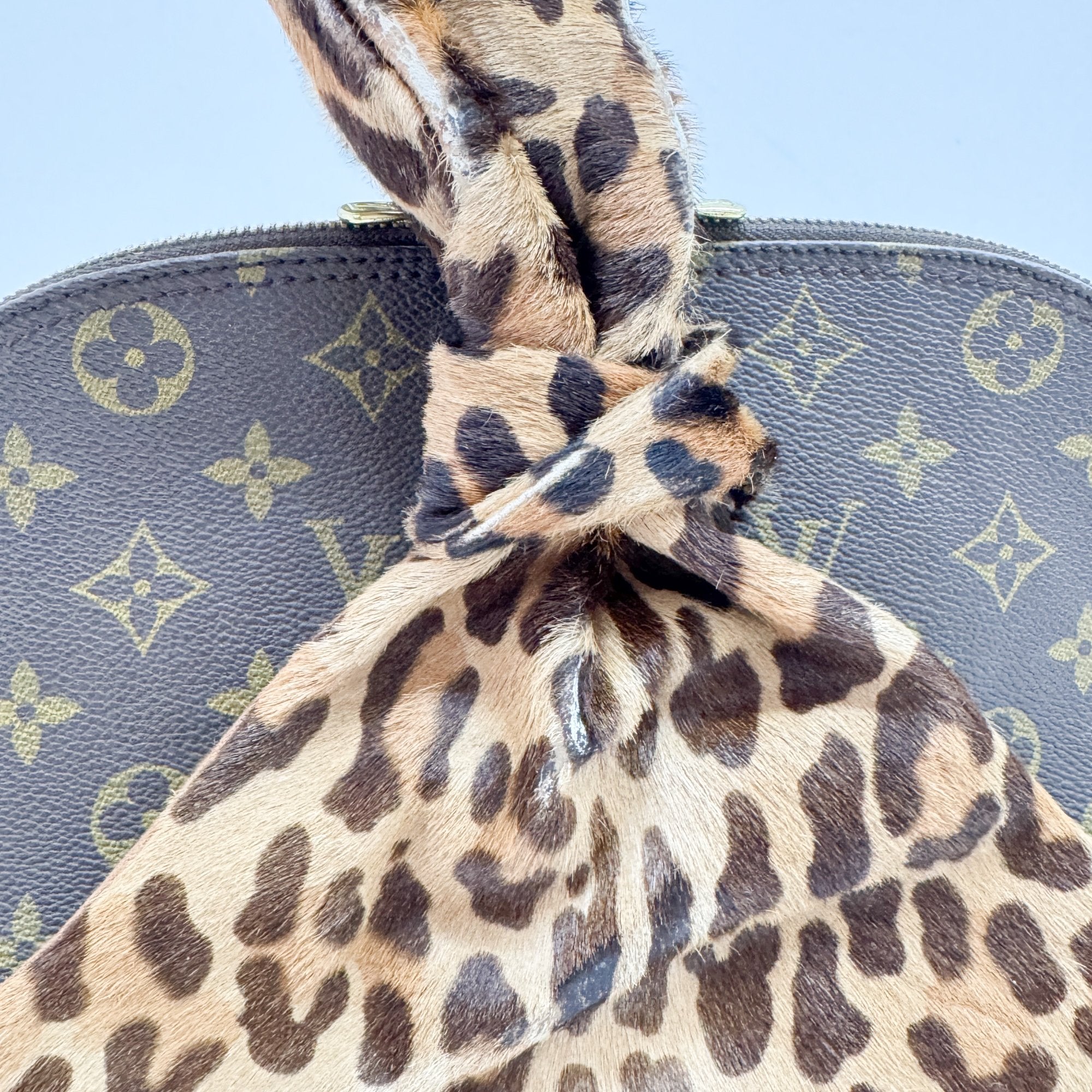 Alma Brown Leopard Print Pony Hair & Monogram Canvas Hand Bag