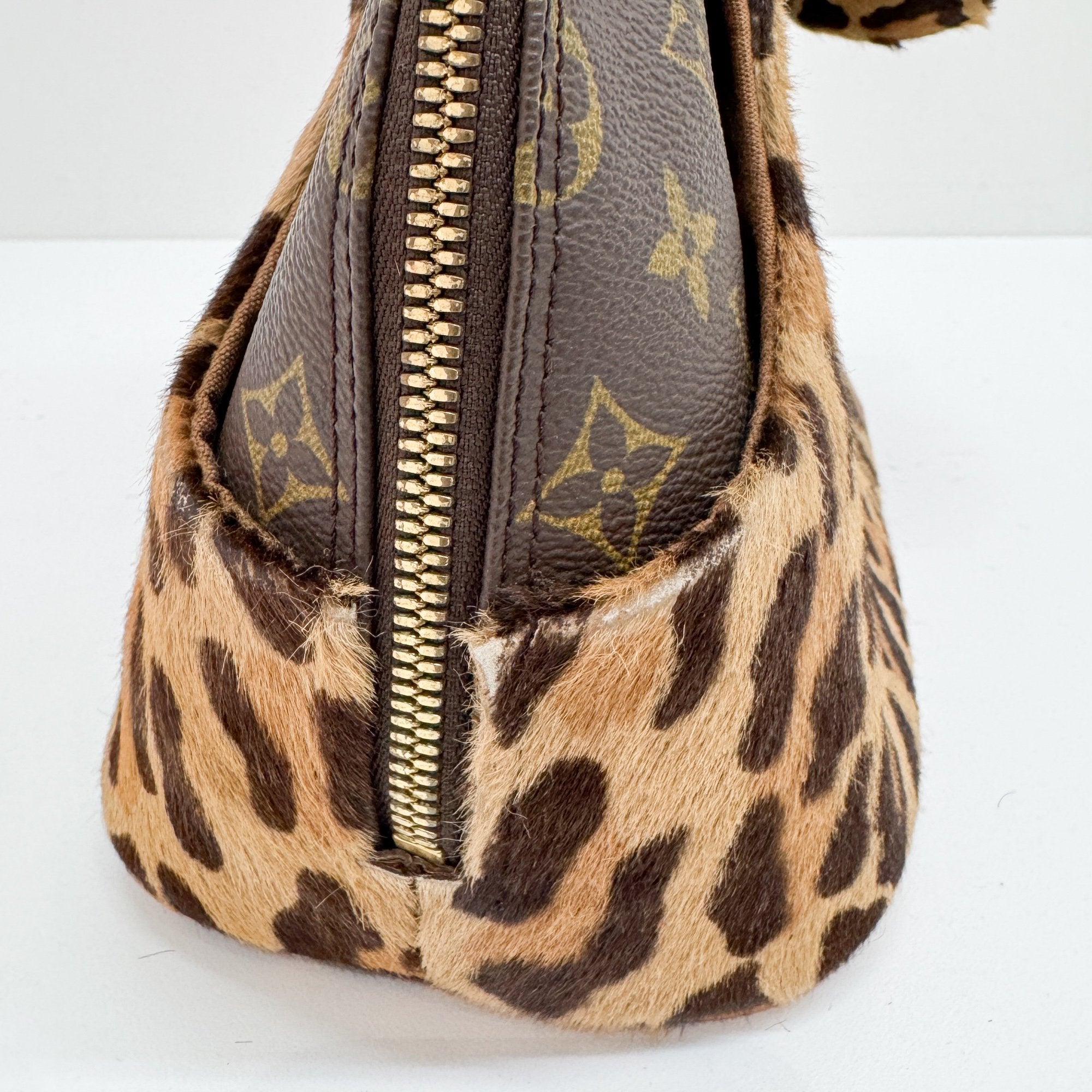 Alma Brown Leopard Print Pony Hair & Monogram Canvas Hand Bag