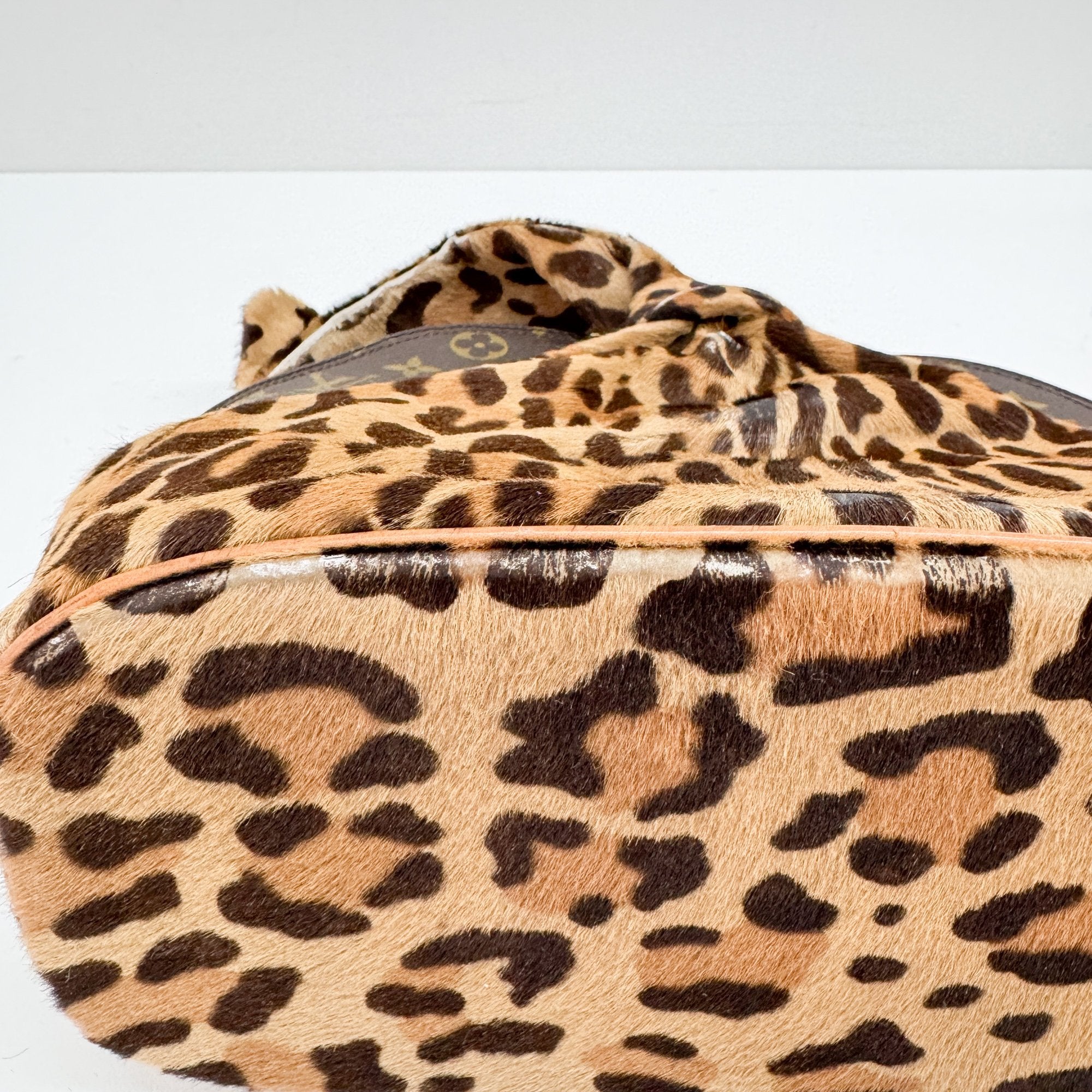 Alma Brown Leopard Print Pony Hair & Monogram Canvas Hand Bag
