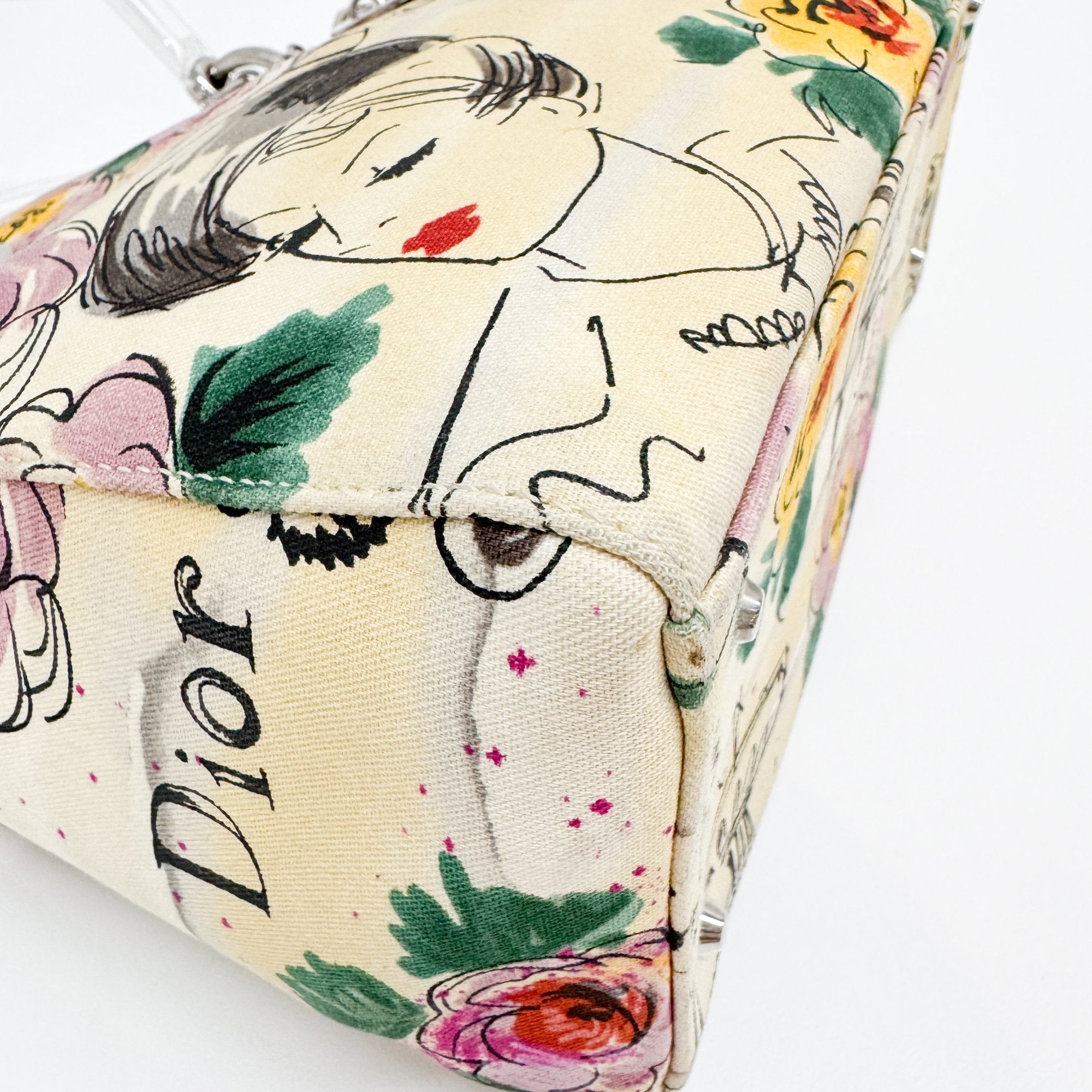 Lady Dior Beige Canvas Handbag