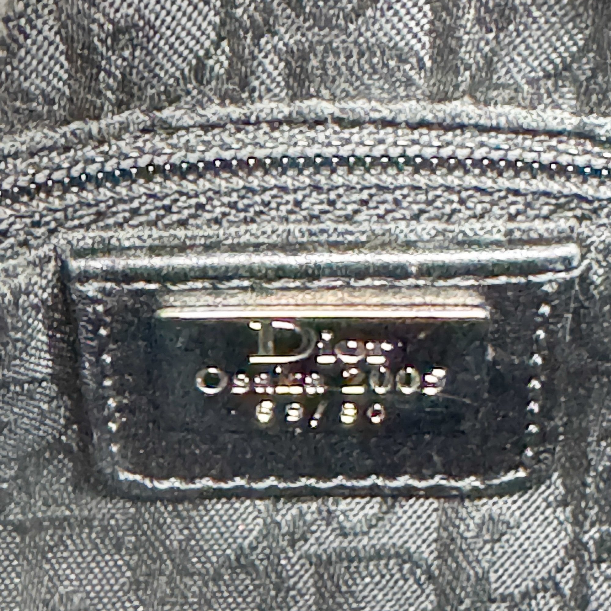 Lady Dior Beige Canvas Handbag