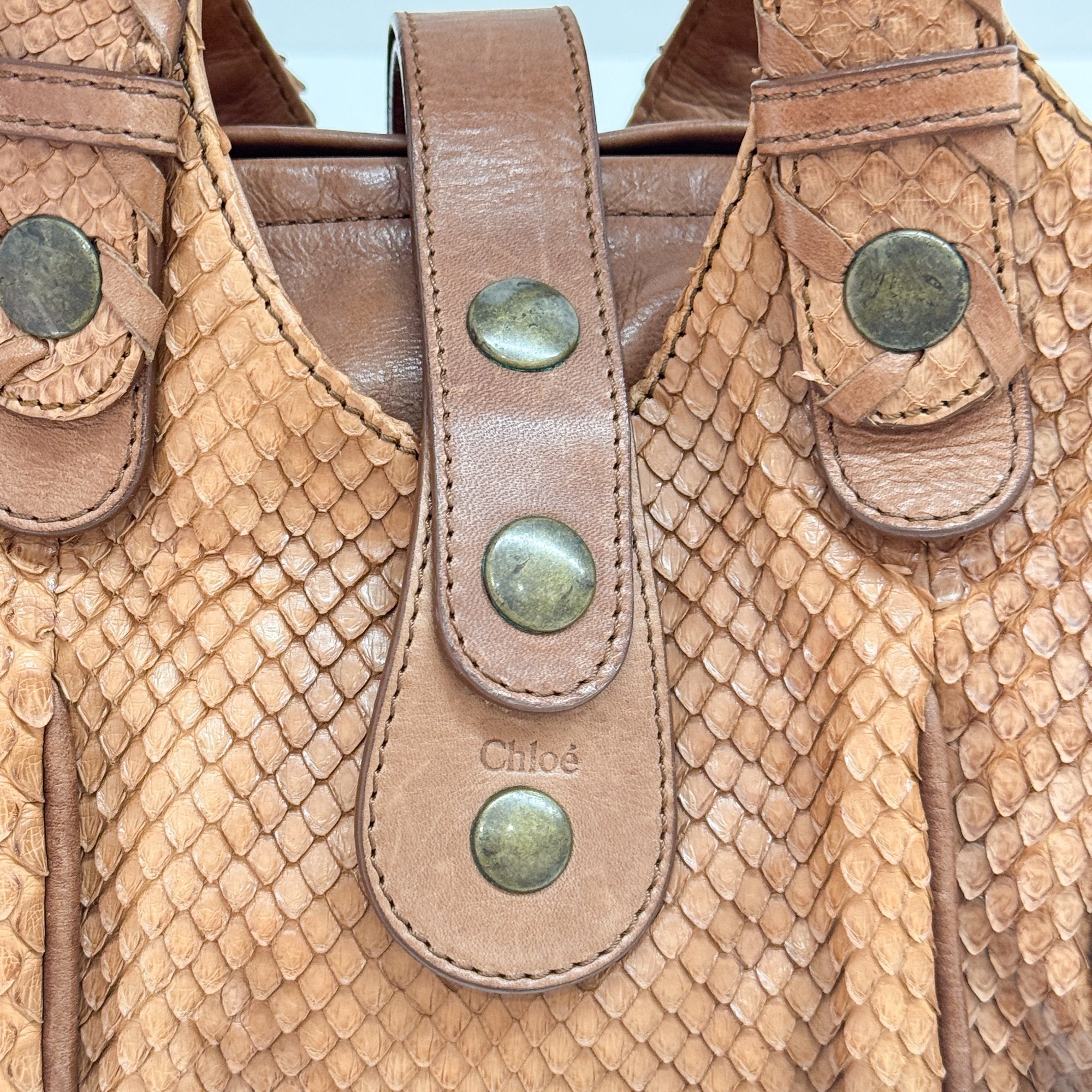 Silverado Brown Python Embossed Leather Shoulder Bag