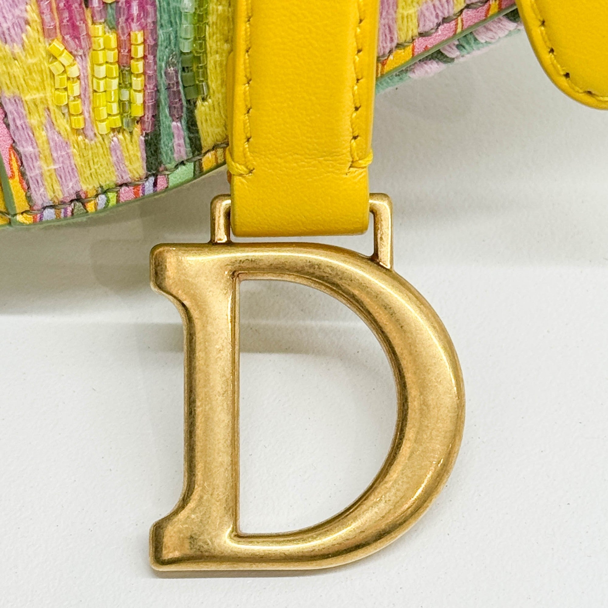 Nano Saddle Multicolor Canvas Beaded Two Way Bag