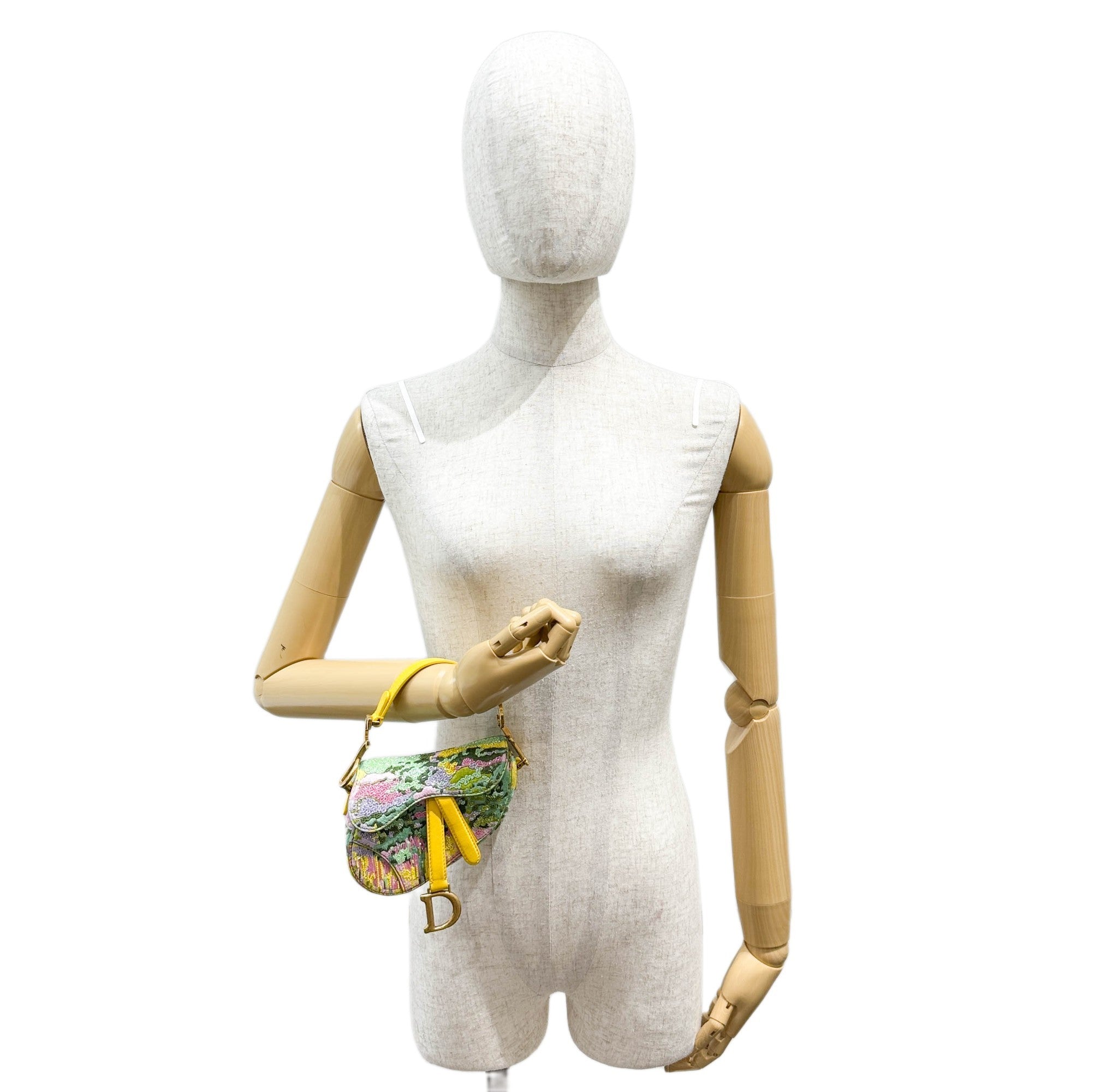 Nano Saddle Multicolor Canvas Beaded Two Way Bag