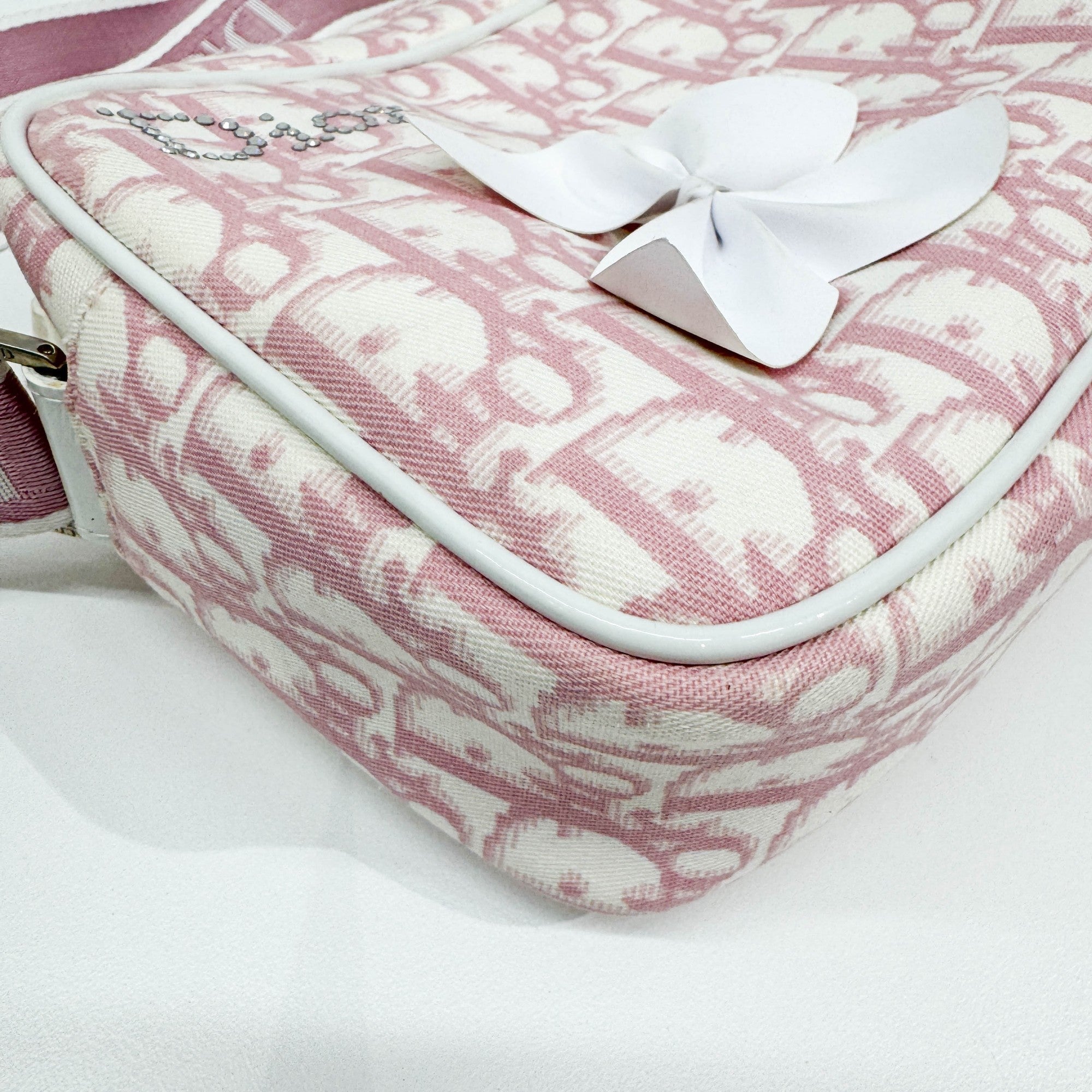 Pink Trotter Canvas Shoulder Bag