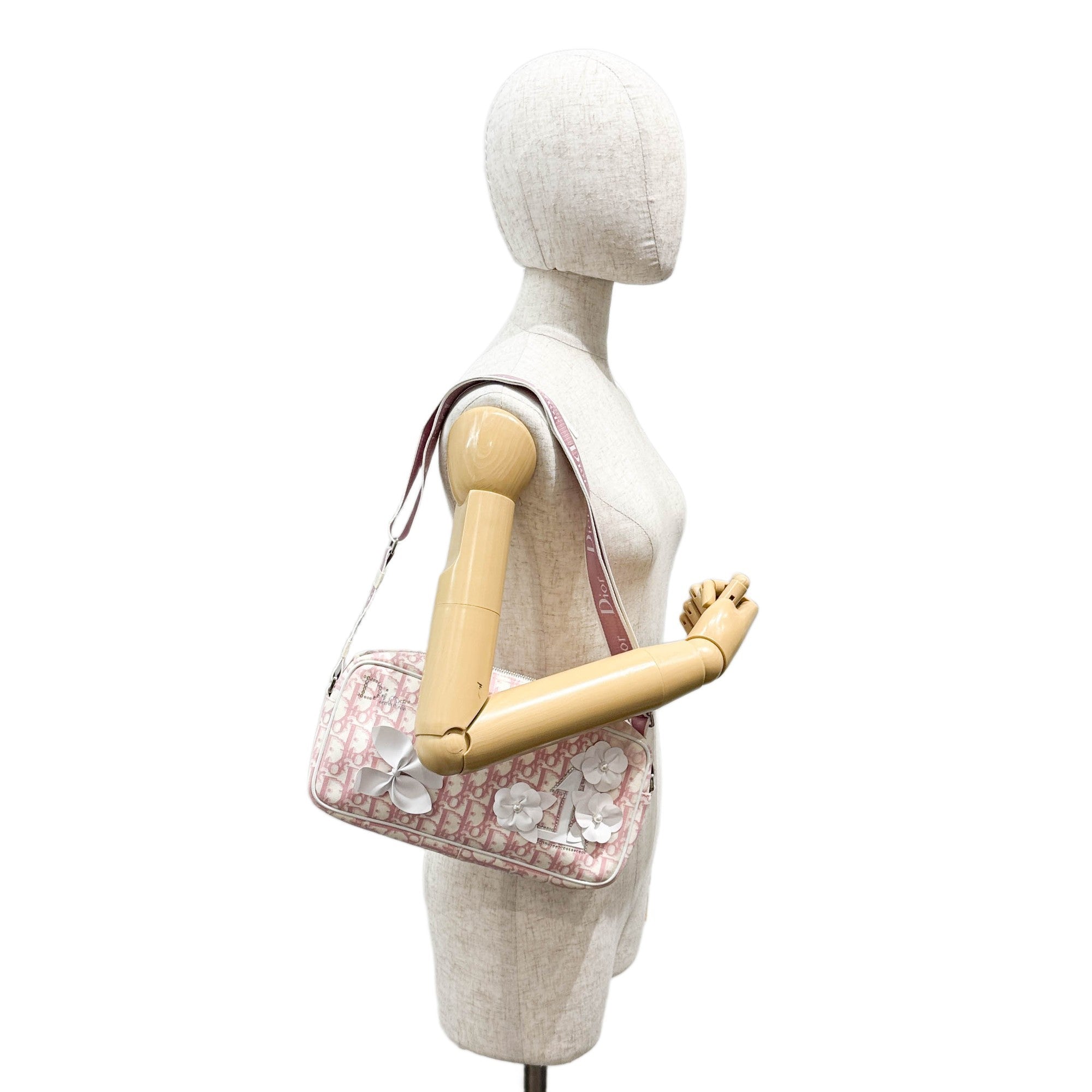 Pink Trotter Canvas Shoulder Bag