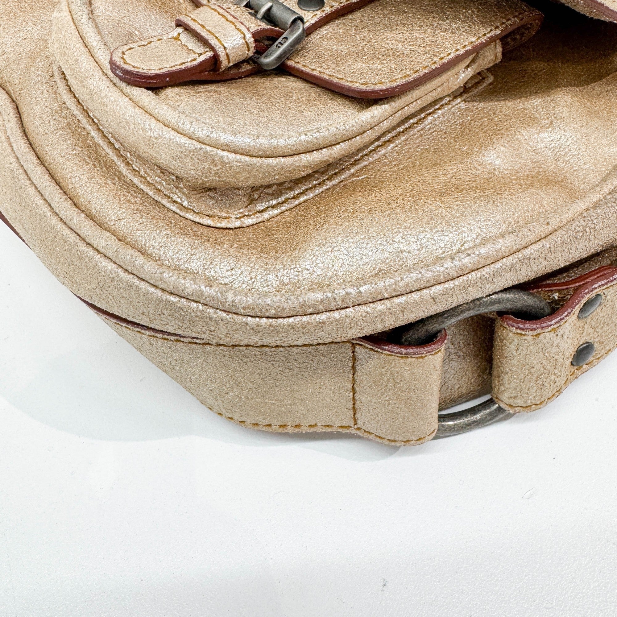 Gaucho Metallic Gold Leather Shoulder Bag