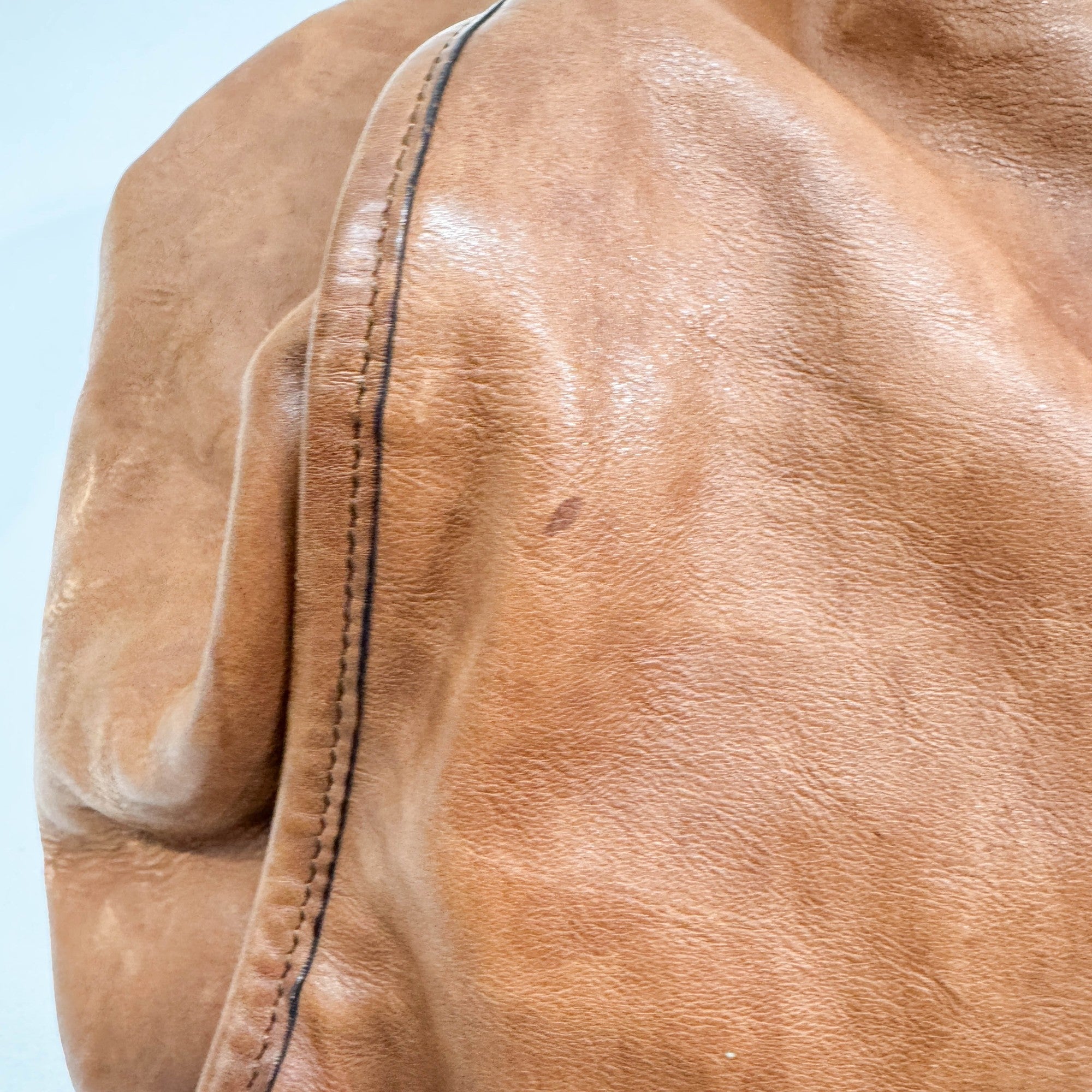 Stirrup Brown Leather Hobo Bag