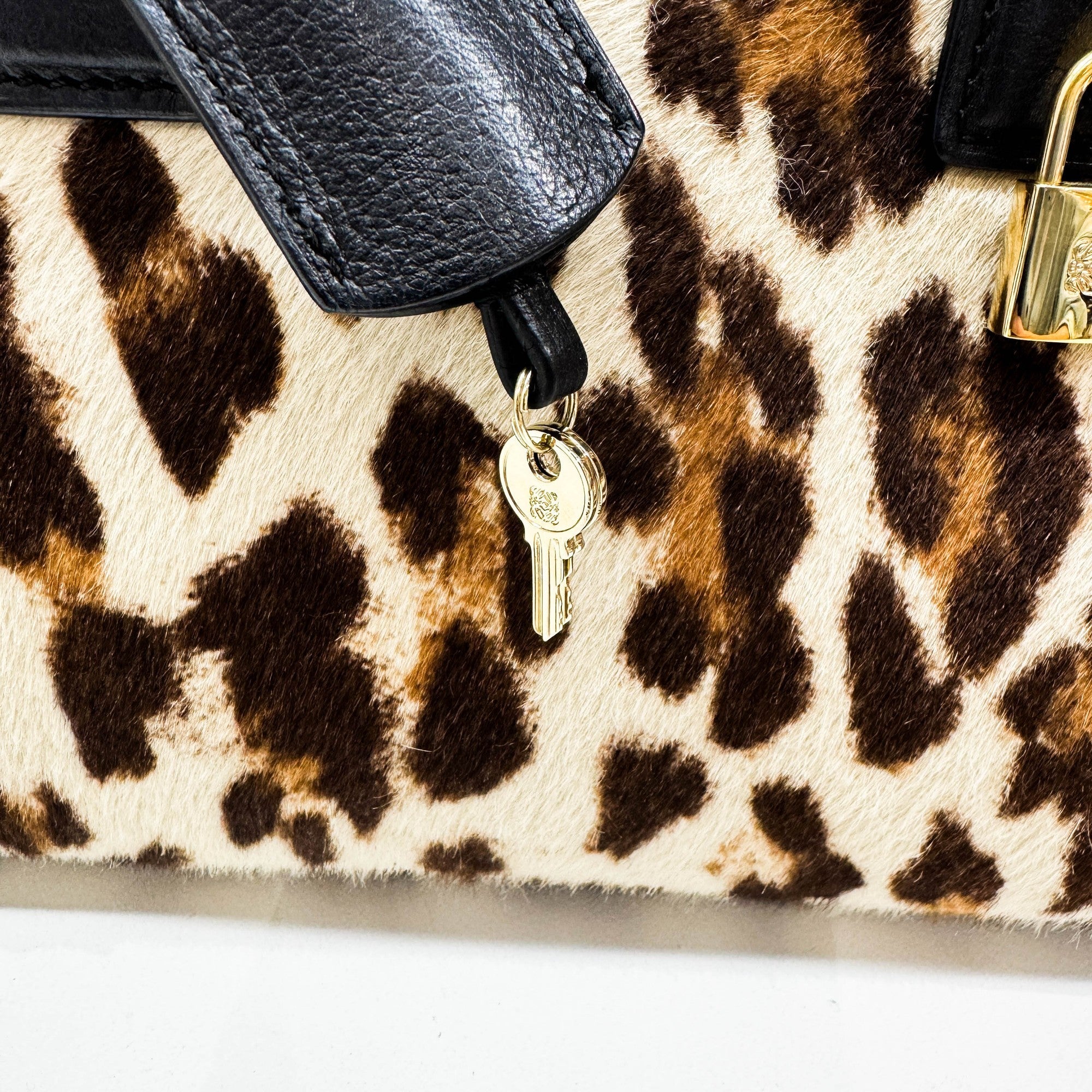 Mini Amazona Brown Leopard Print Pony Hair Two Way Bag