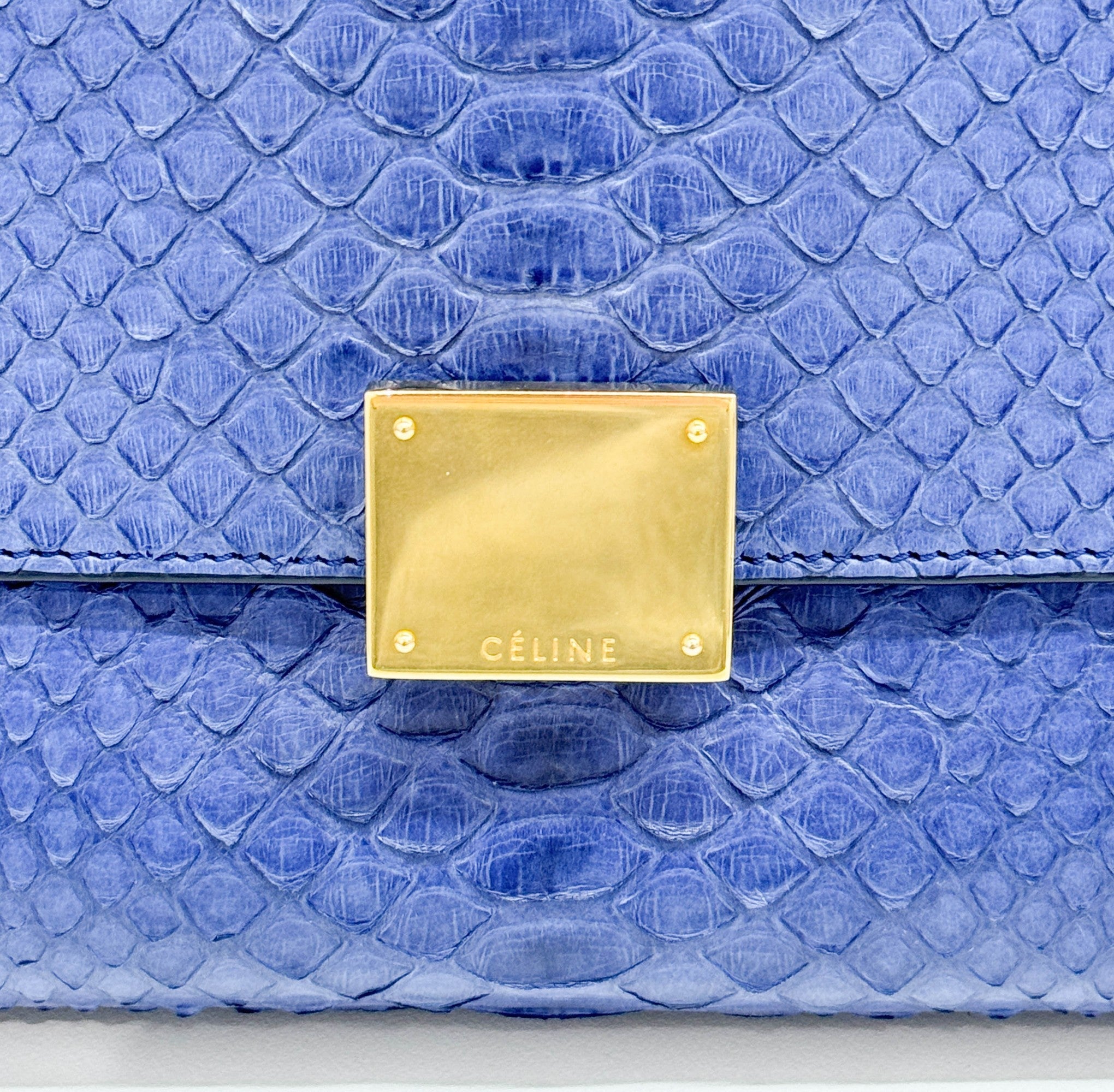Trapeze Blue Python Embossed Leather Two Way Bag