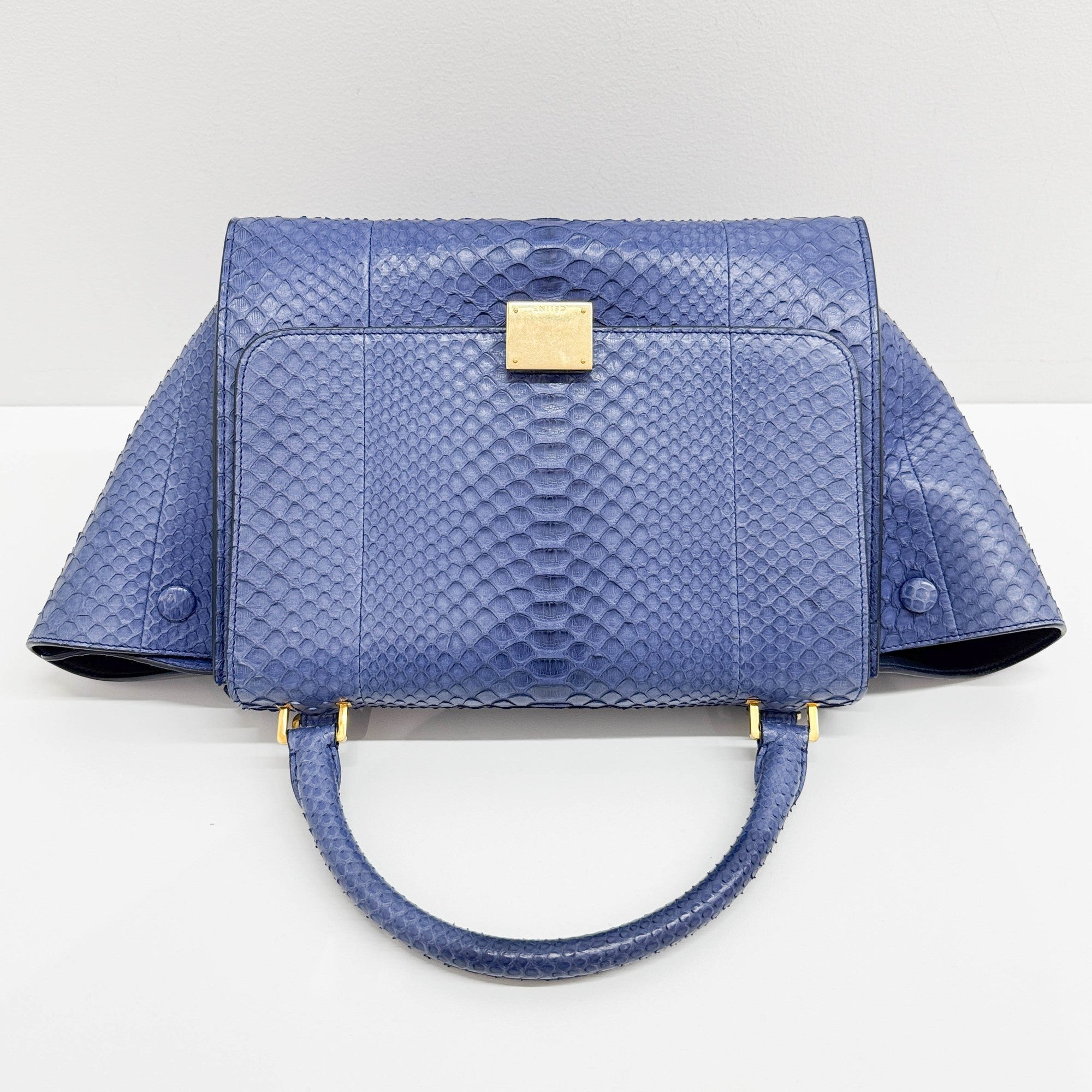 Trapeze Blue Python Embossed Leather Two Way Bag