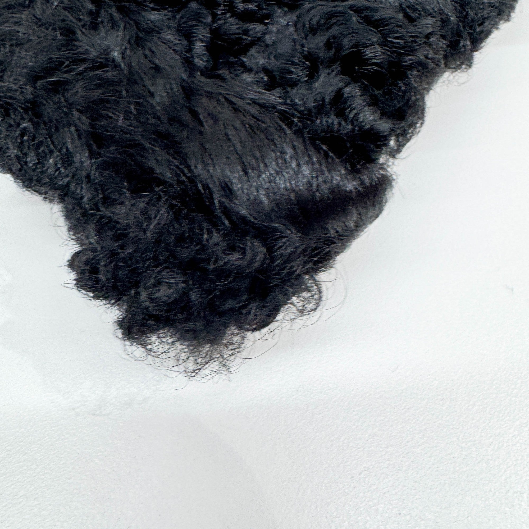 Black Wool Clutch Bag