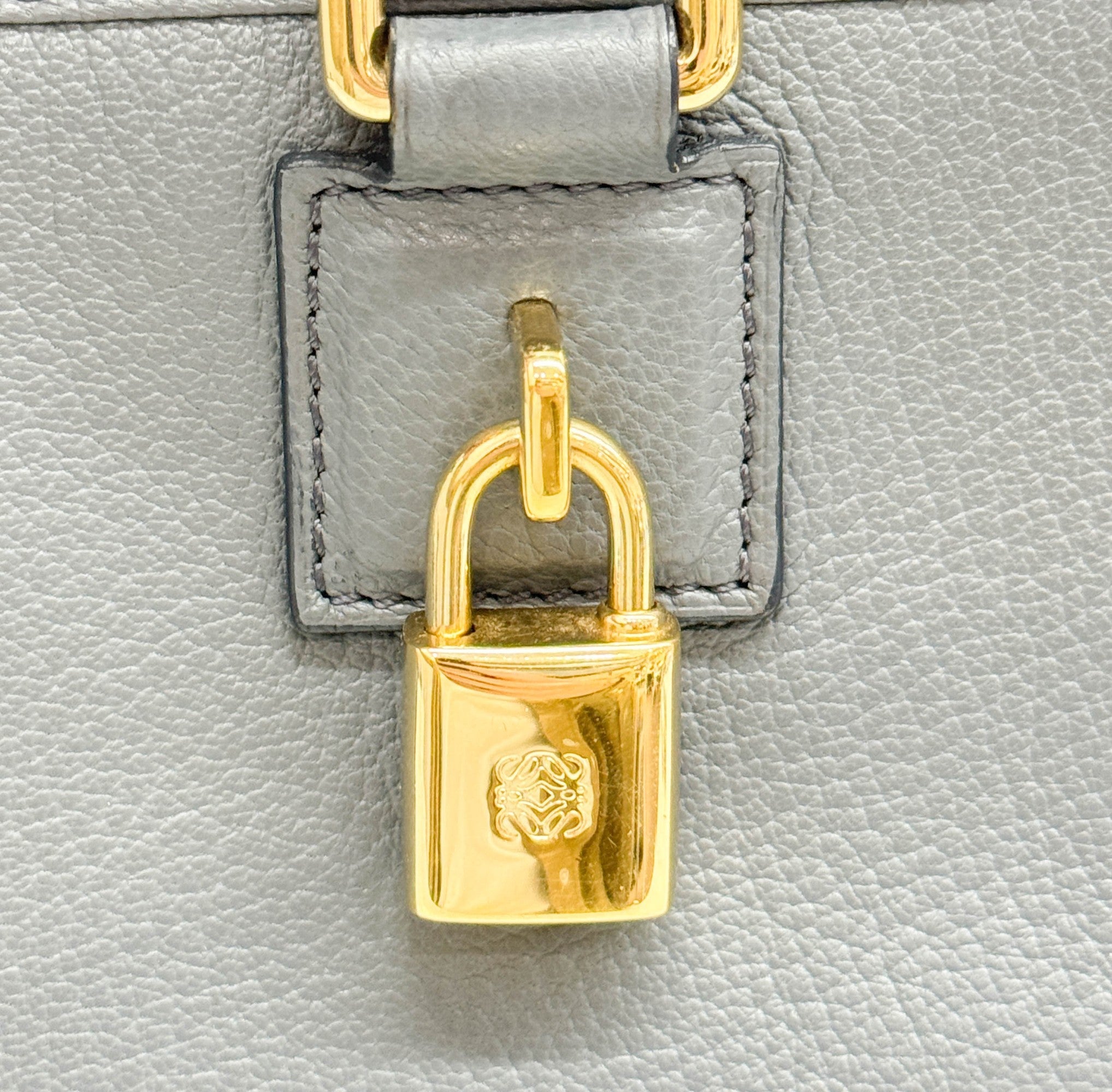 Amazona Shadow Blue Leather Hand Bag