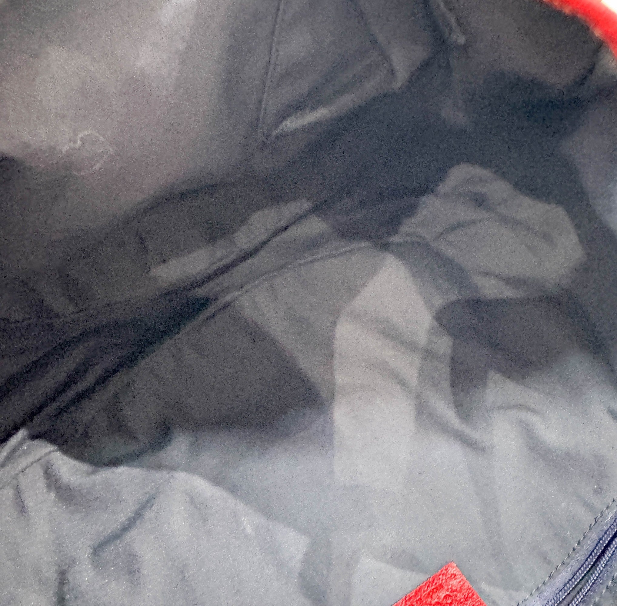 Abbey D-Ring Red Trim Tan GG Canvas Shoulder Bag