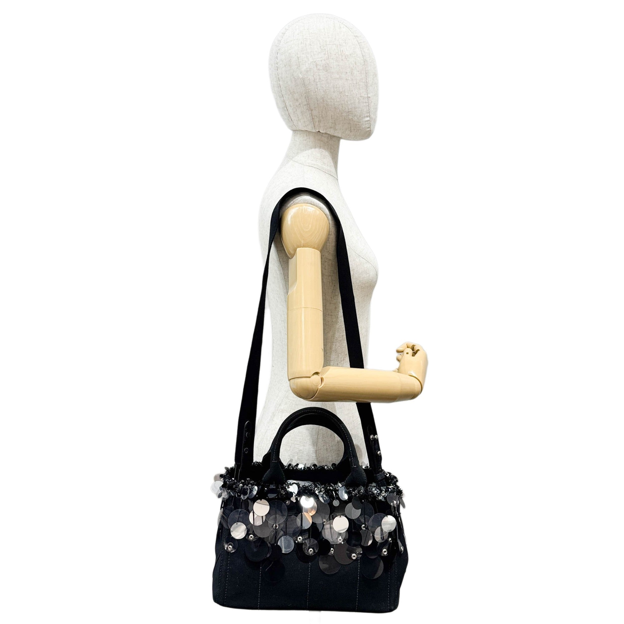 Sequin Fringe Black Canvas Two Way Bag