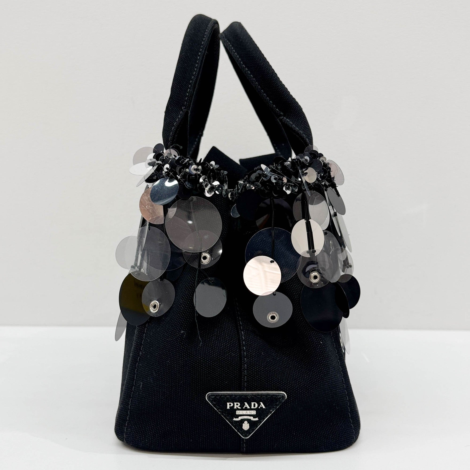 Sequin Fringe Black Canvas Two Way Bag