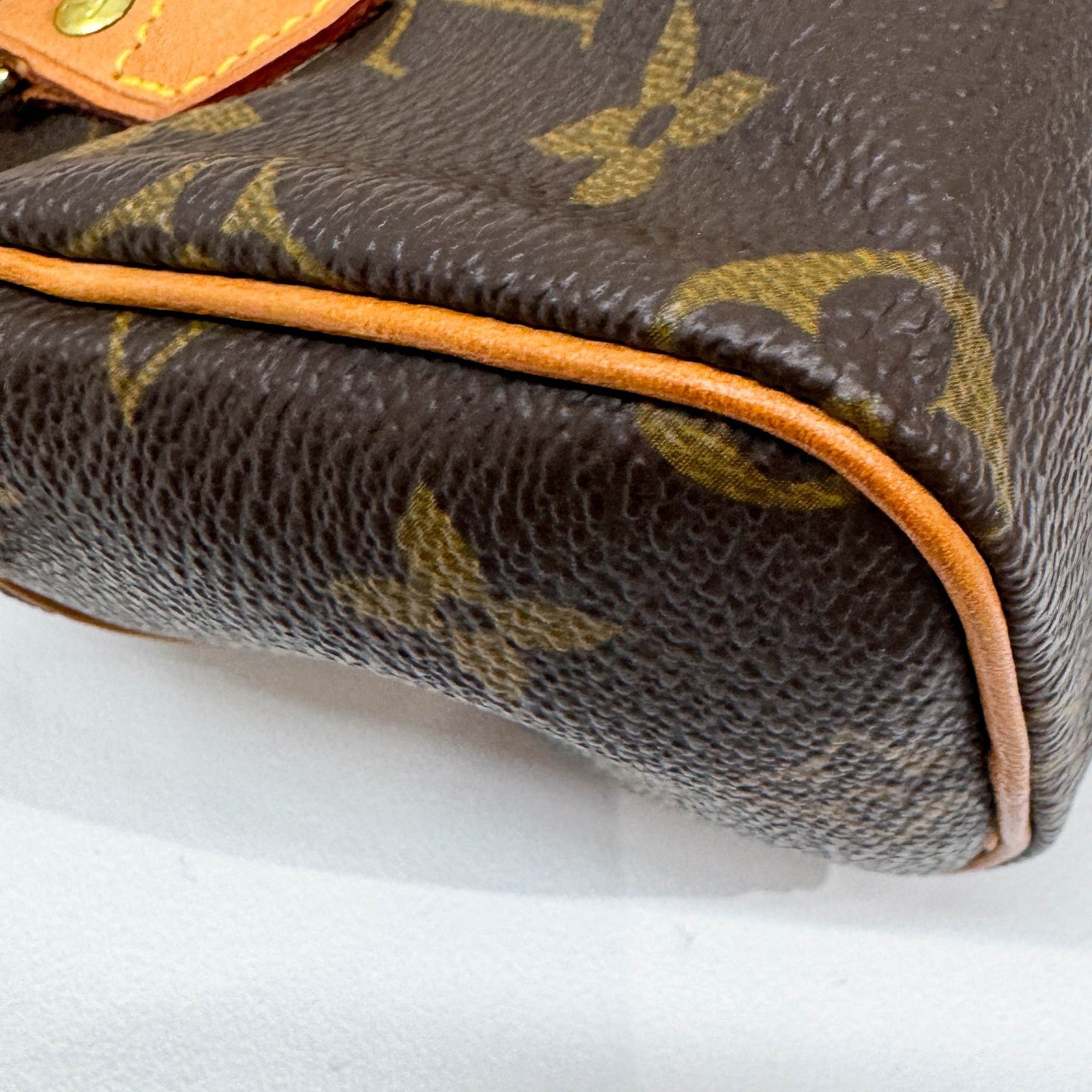 Mini Speedy Brown Monogram Leather Hand Bag