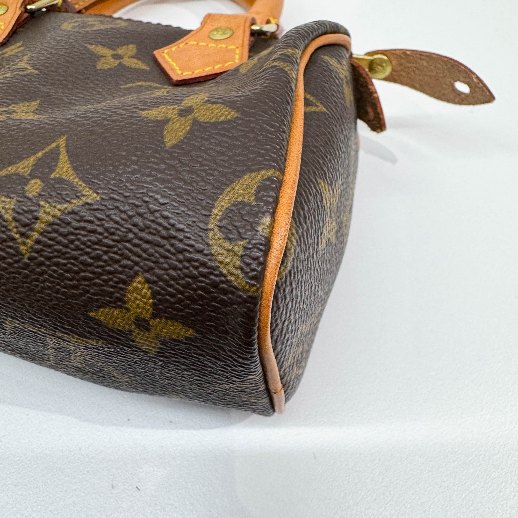 Mini Speedy Brown Monogram Leather Hand Bag