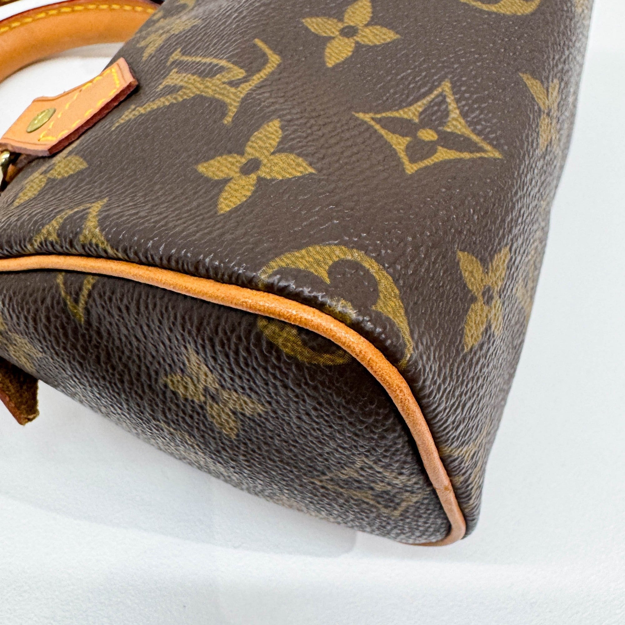 Mini Speedy Brown Monogram Leather Hand Bag