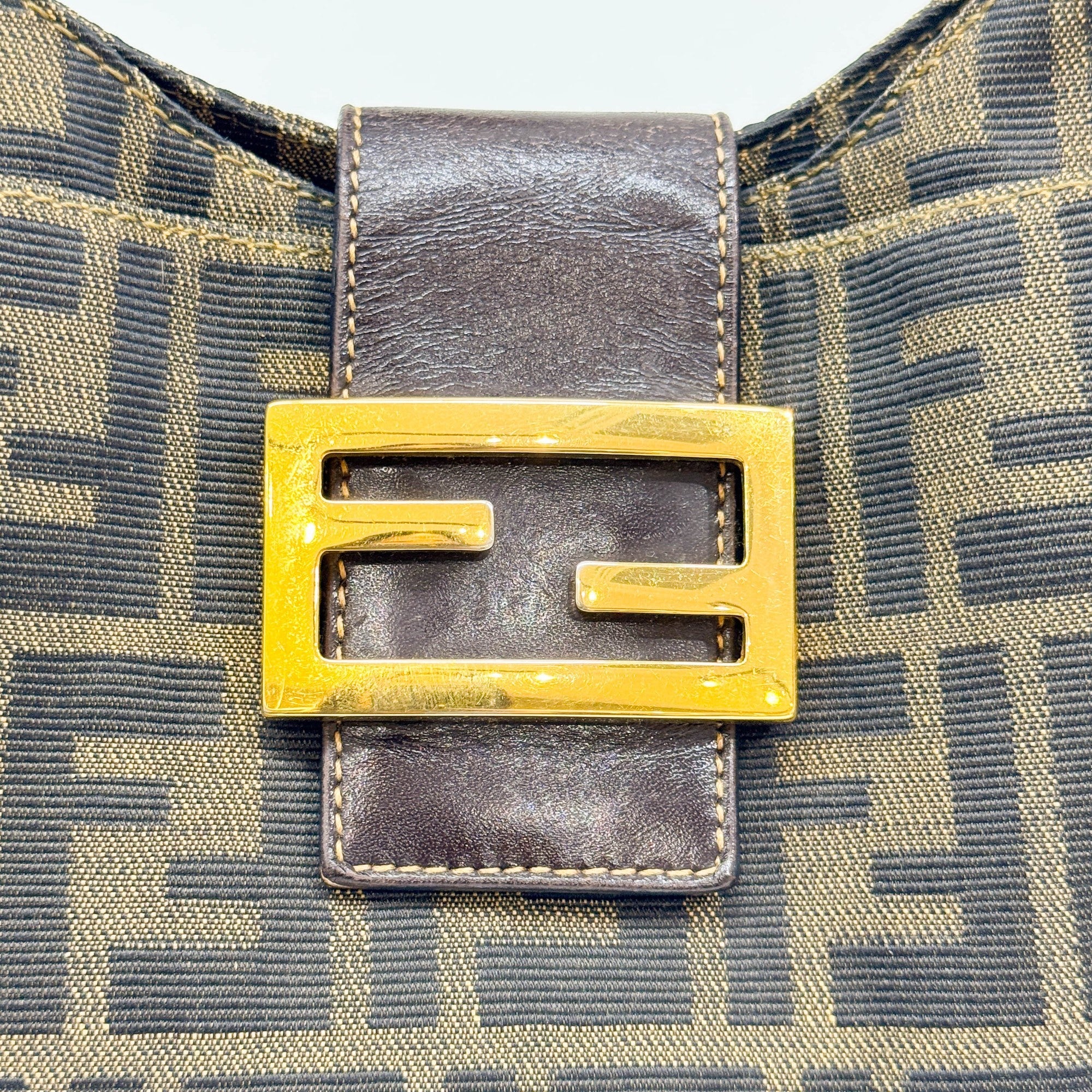 Brown Zucca Canvas Shoulder Bag