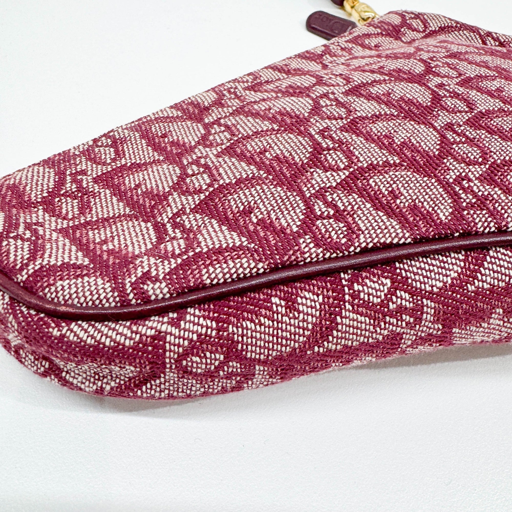 Saddle Pouch Bordeaux Trotter Canvas Shoulder Bag