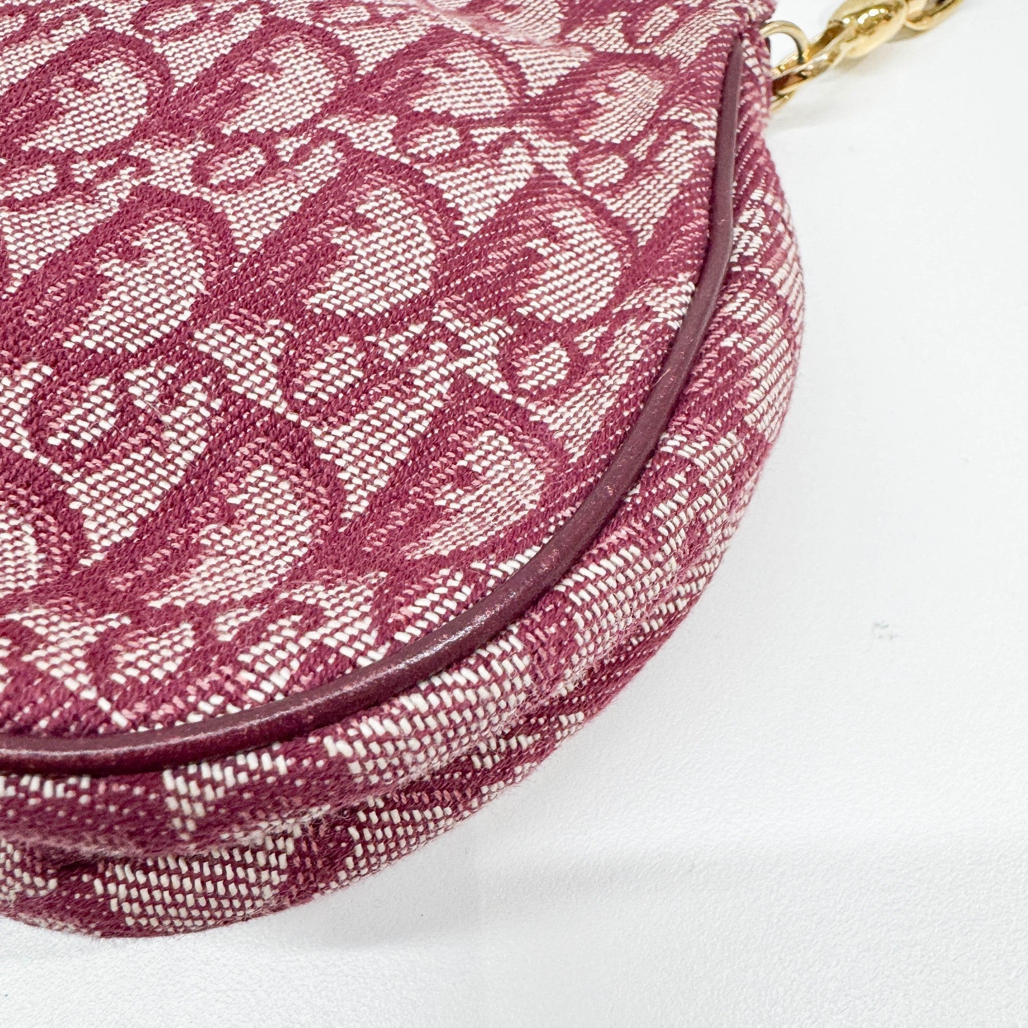 Saddle Pouch Bordeaux Trotter Canvas Shoulder Bag