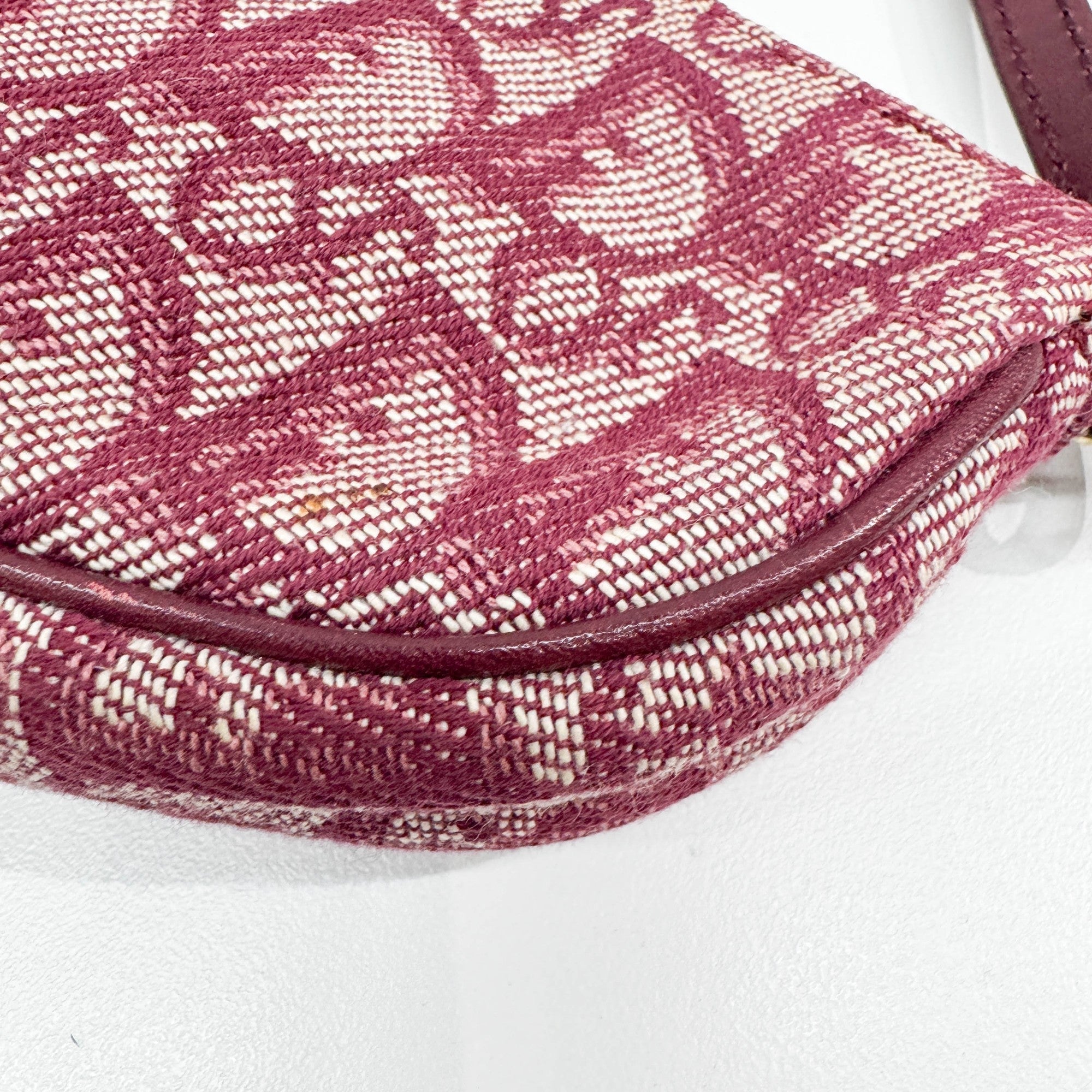 Saddle Pouch Bordeaux Trotter Canvas Shoulder Bag