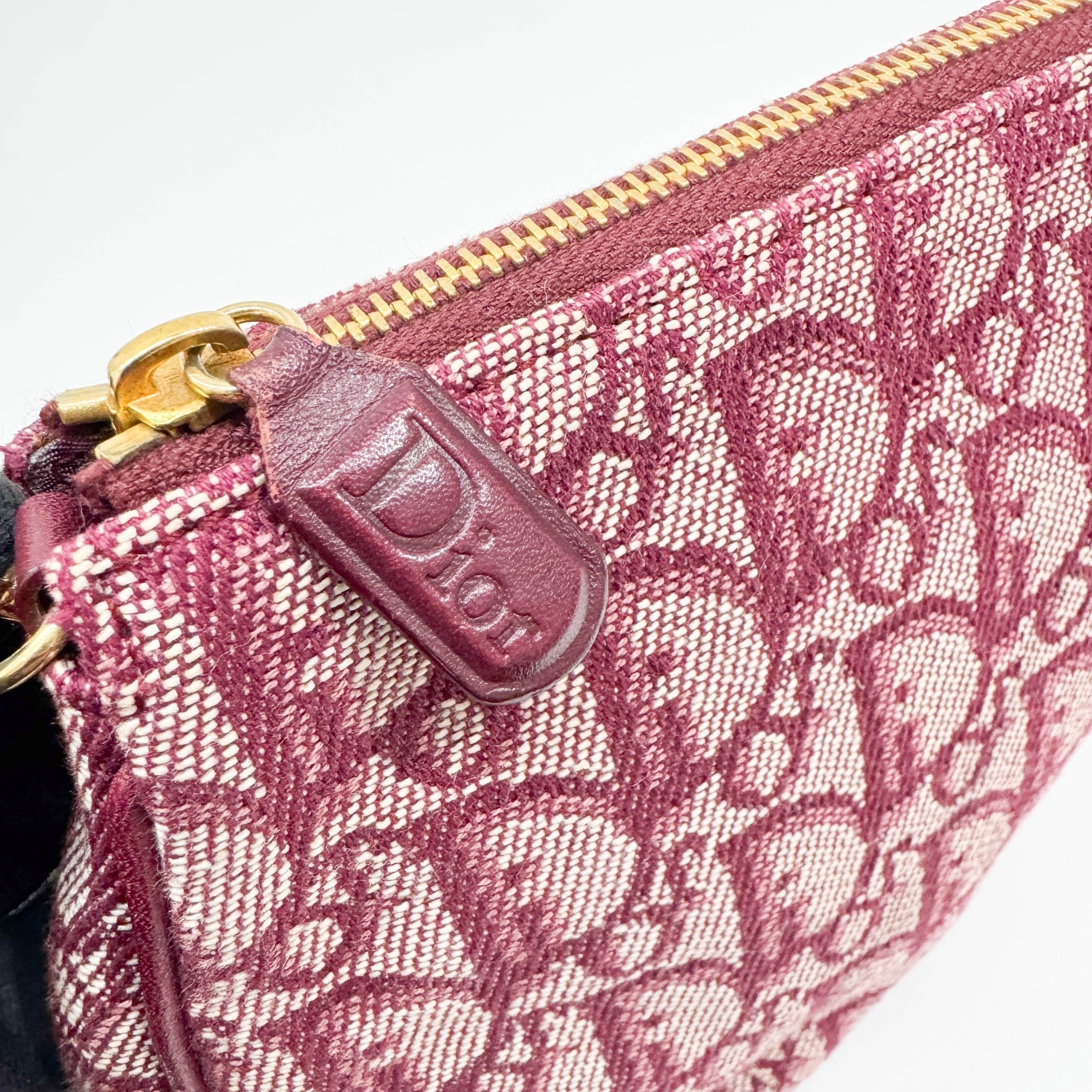 Saddle Pouch Bordeaux Trotter Canvas Shoulder Bag