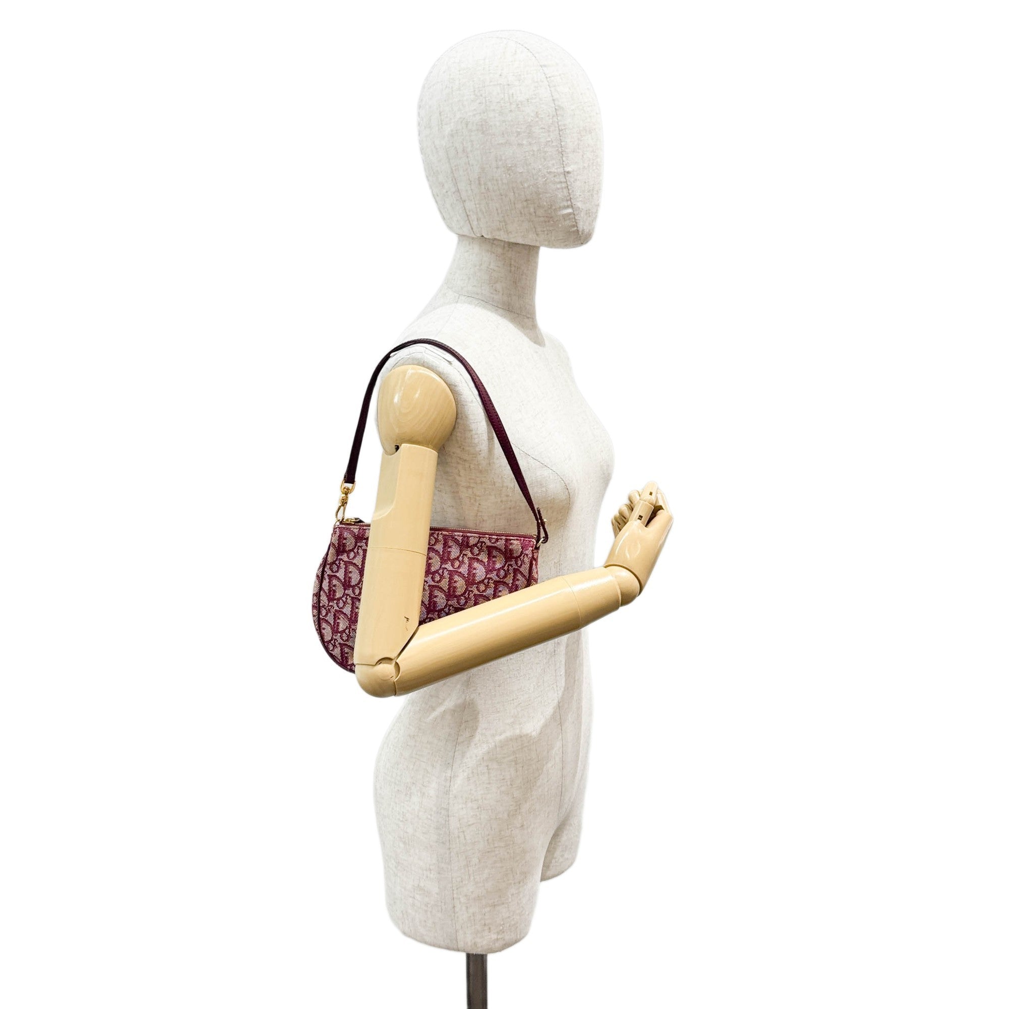 Saddle Pouch Bordeaux Trotter Canvas Shoulder Bag