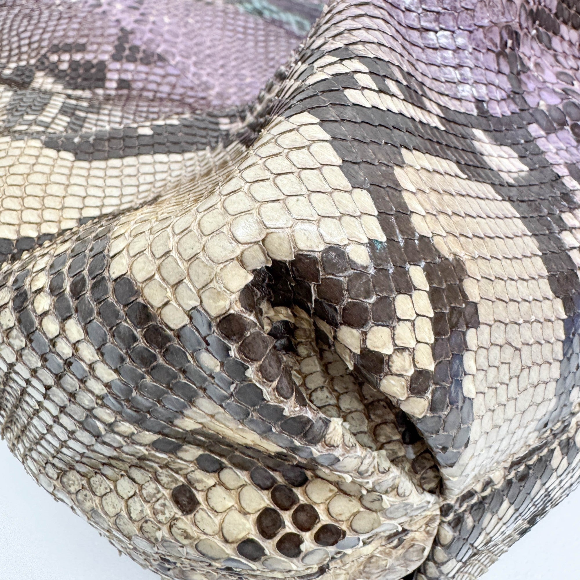 Soho Multicolor Snakeskin Embossed Leather Shoudler Bag