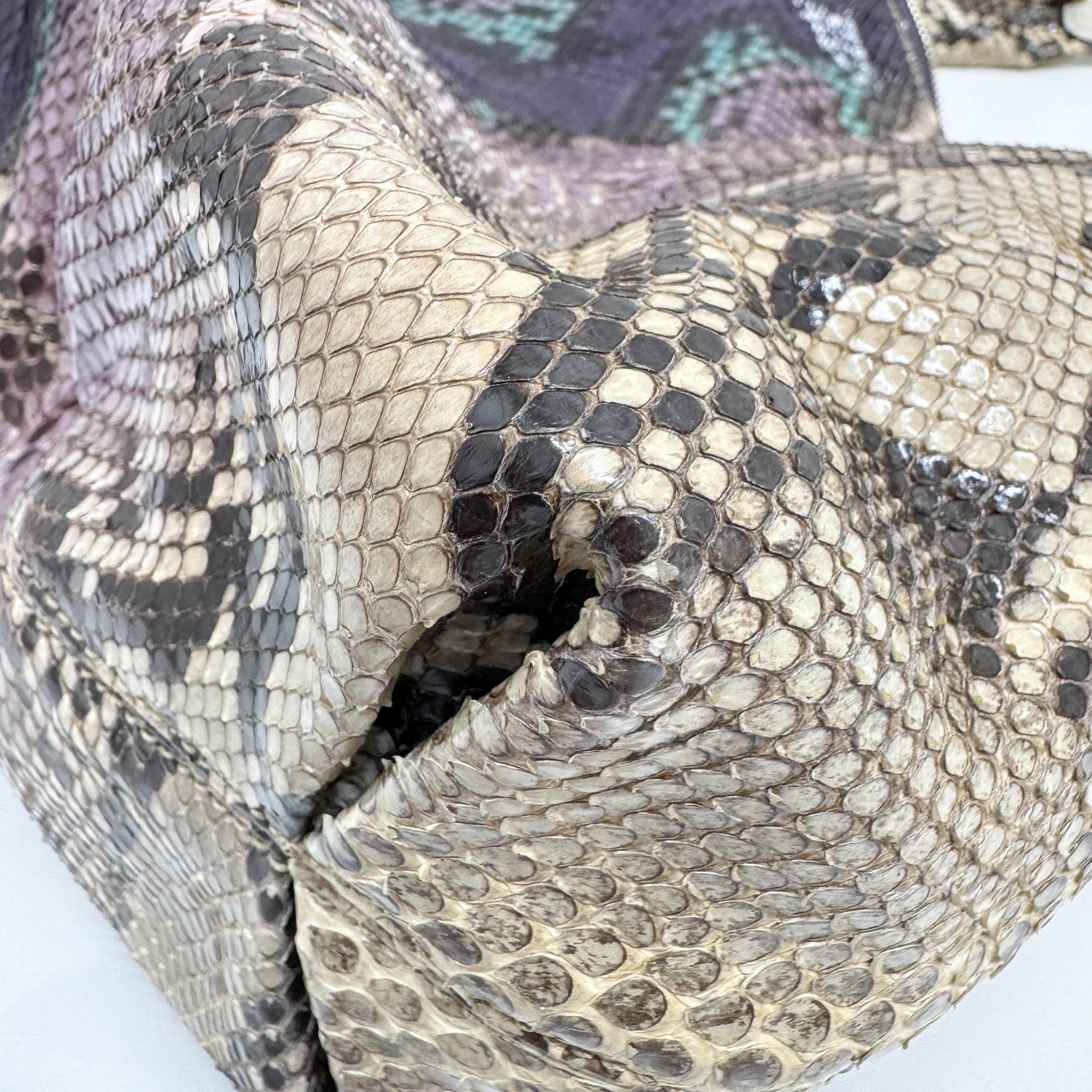 Soho Multicolor Snakeskin Embossed Leather Shoudler Bag