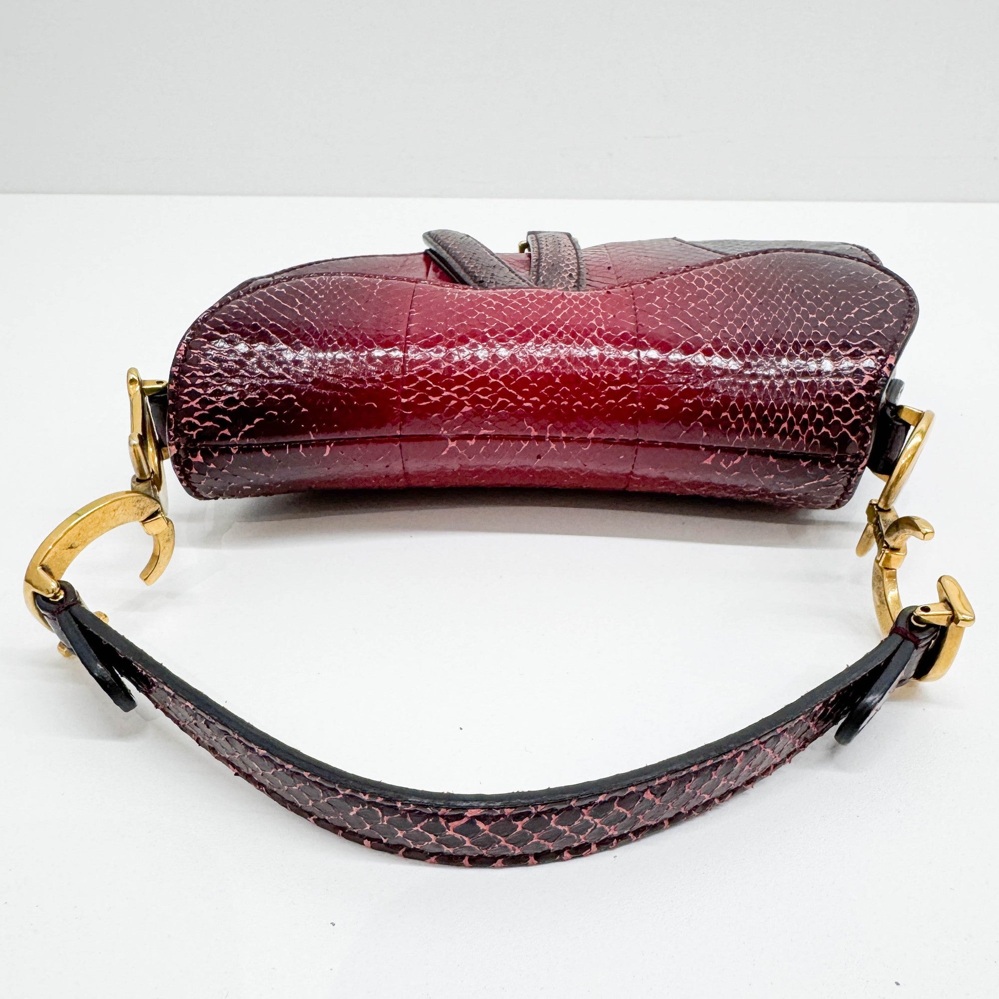Mini Saddle Ombre Red Embossed Snake Leather Two Way Bag
