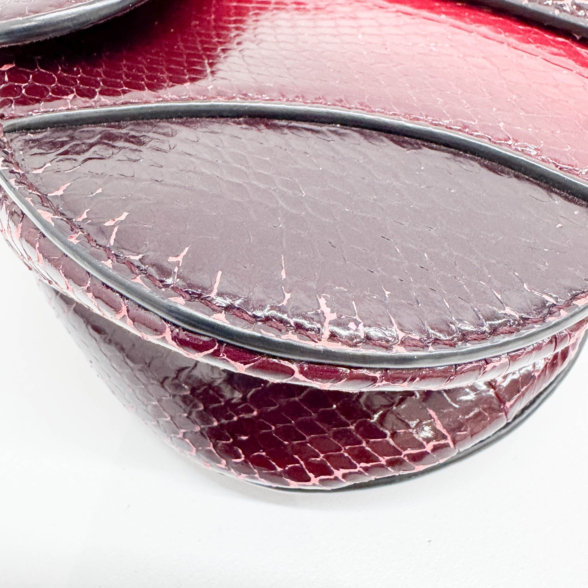 Mini Saddle Ombre Red Embossed Snake Leather Two Way Bag